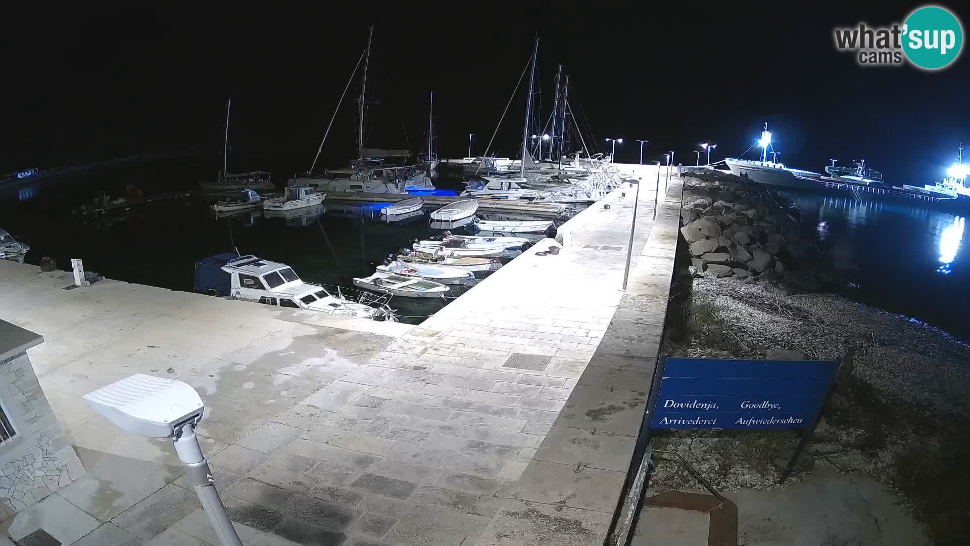 Webcam Isola di Unije – Esplora la bellezza della gemma nascosta della Croazia