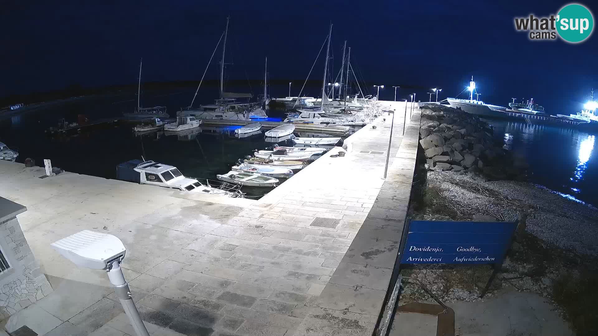 Webcam Isola di Unije – Esplora la bellezza della gemma nascosta della Croazia