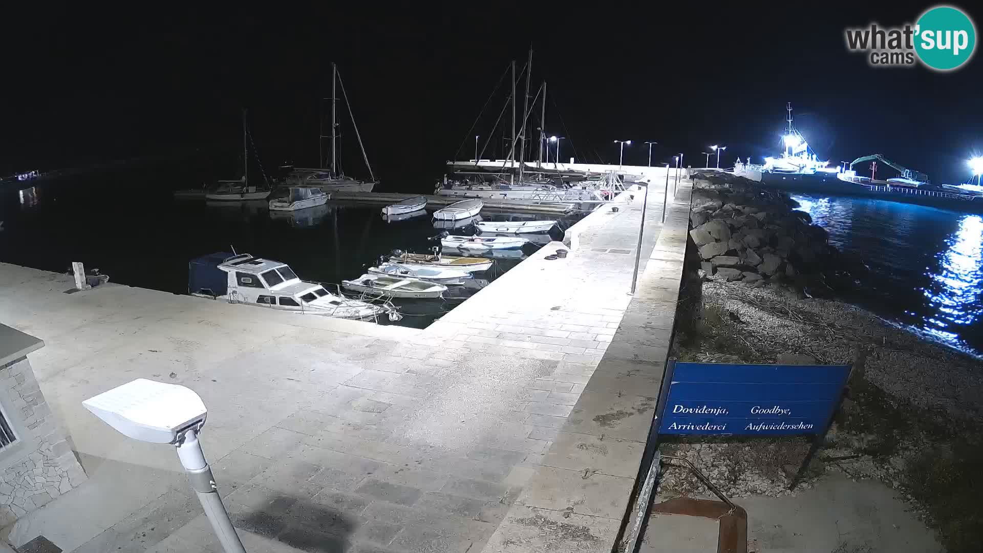 Cámara web de la isla de Unije: explore la belleza de la joya escondida de Croacia