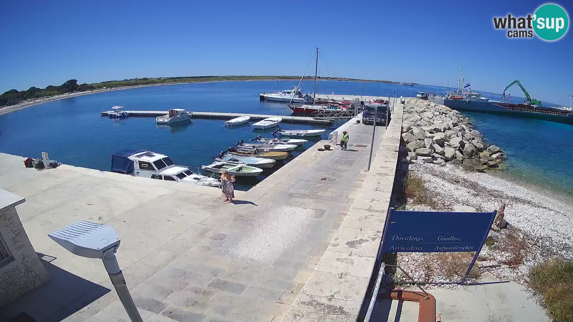 Cámara web de la isla de Unije: explore la belleza de la joya escondida de Croacia