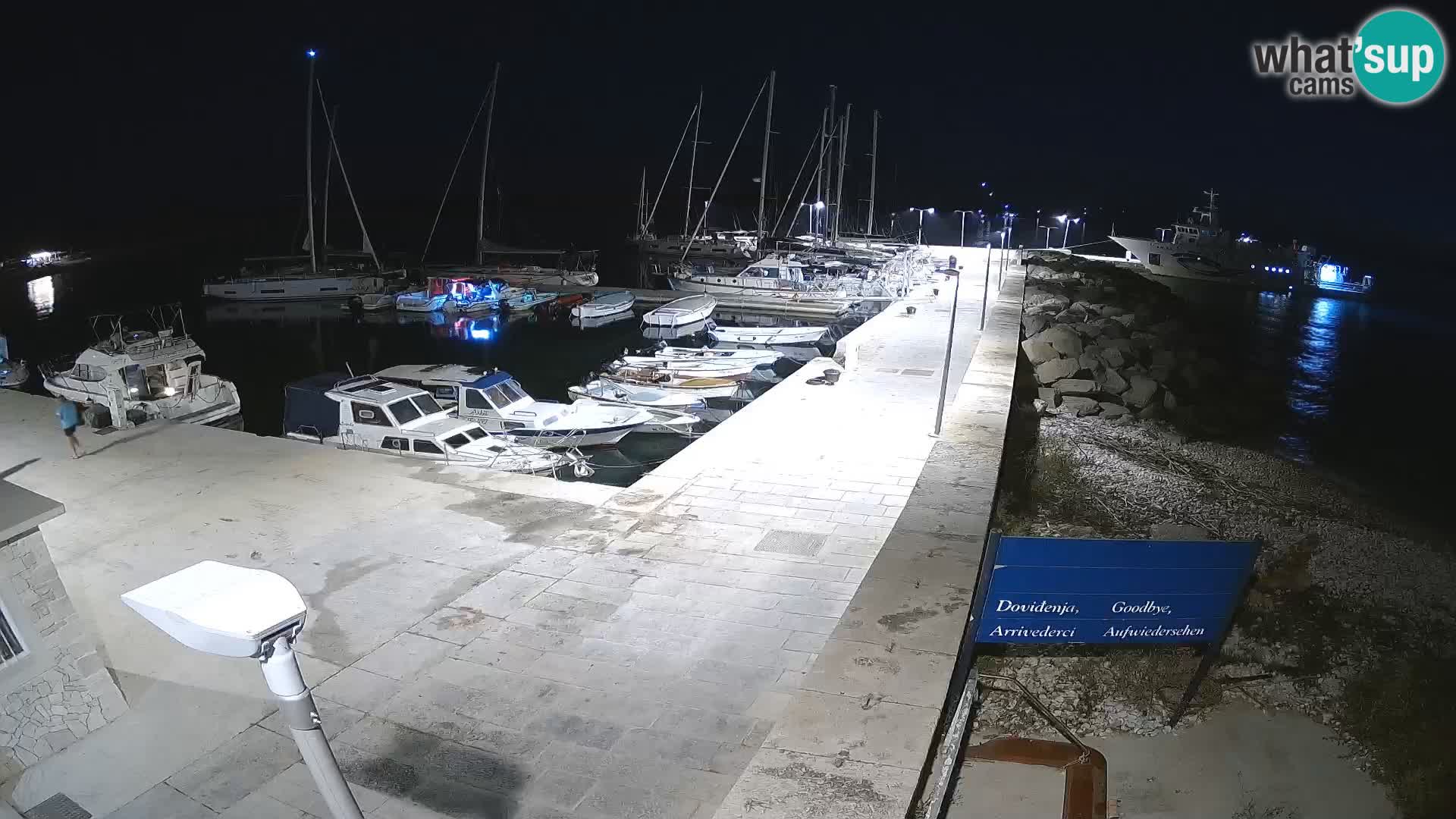Insel Unije Webcam – Entdecken Sie die Schönheit von Kroatiens verstecktem Juwel