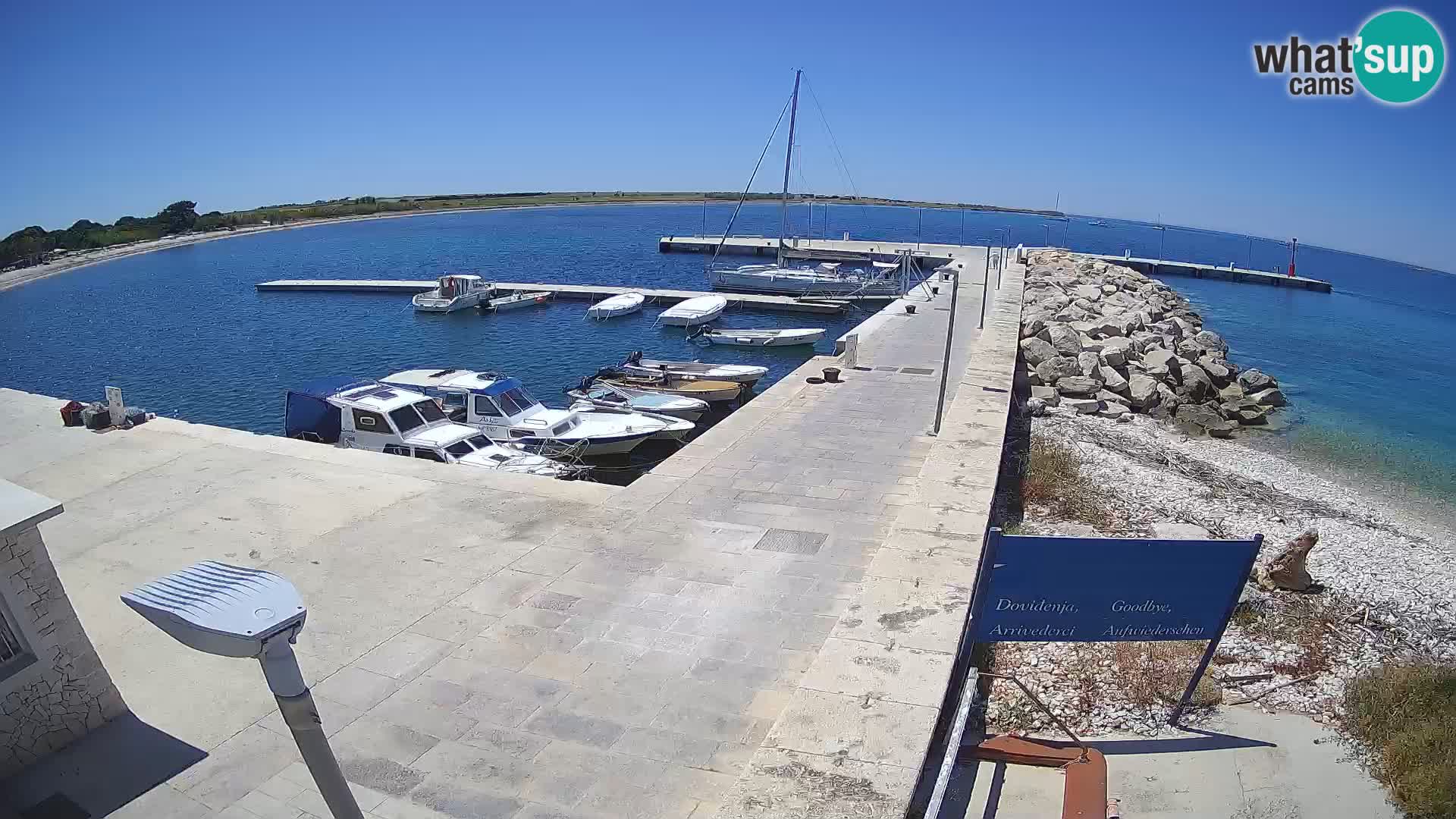 Webcam de l’île d’Unije – Explorez la beauté du joyau caché de la Croatie