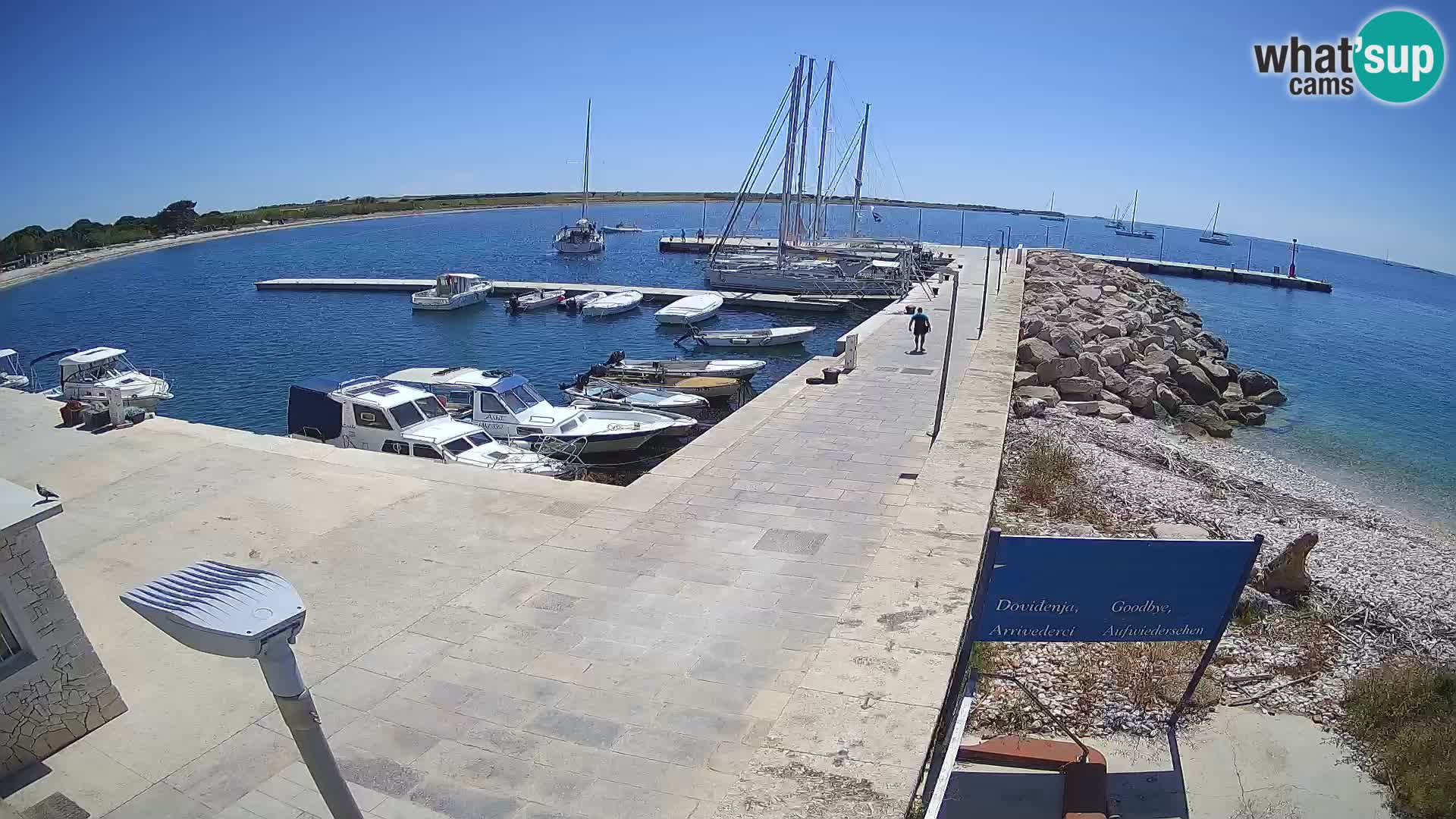 Insel Unije Webcam – Entdecken Sie die Schönheit von Kroatiens verstecktem Juwel
