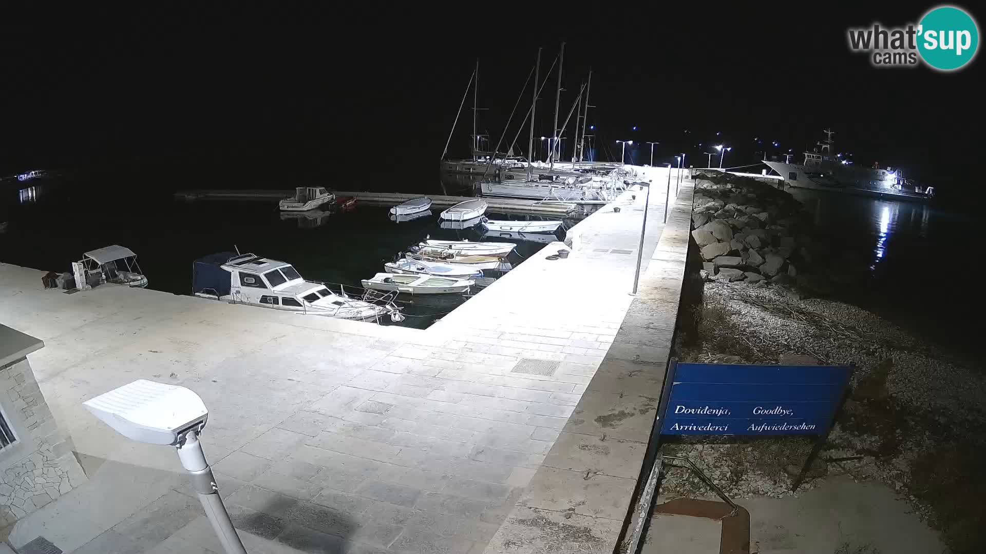 Cámara web de la isla de Unije: explore la belleza de la joya escondida de Croacia
