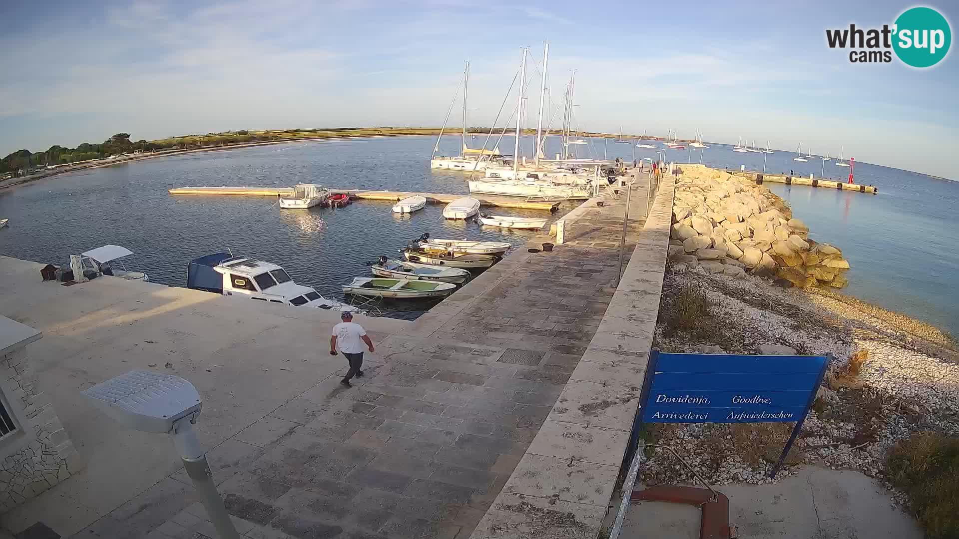 Webcam Isola di Unije – Esplora la bellezza della gemma nascosta della Croazia