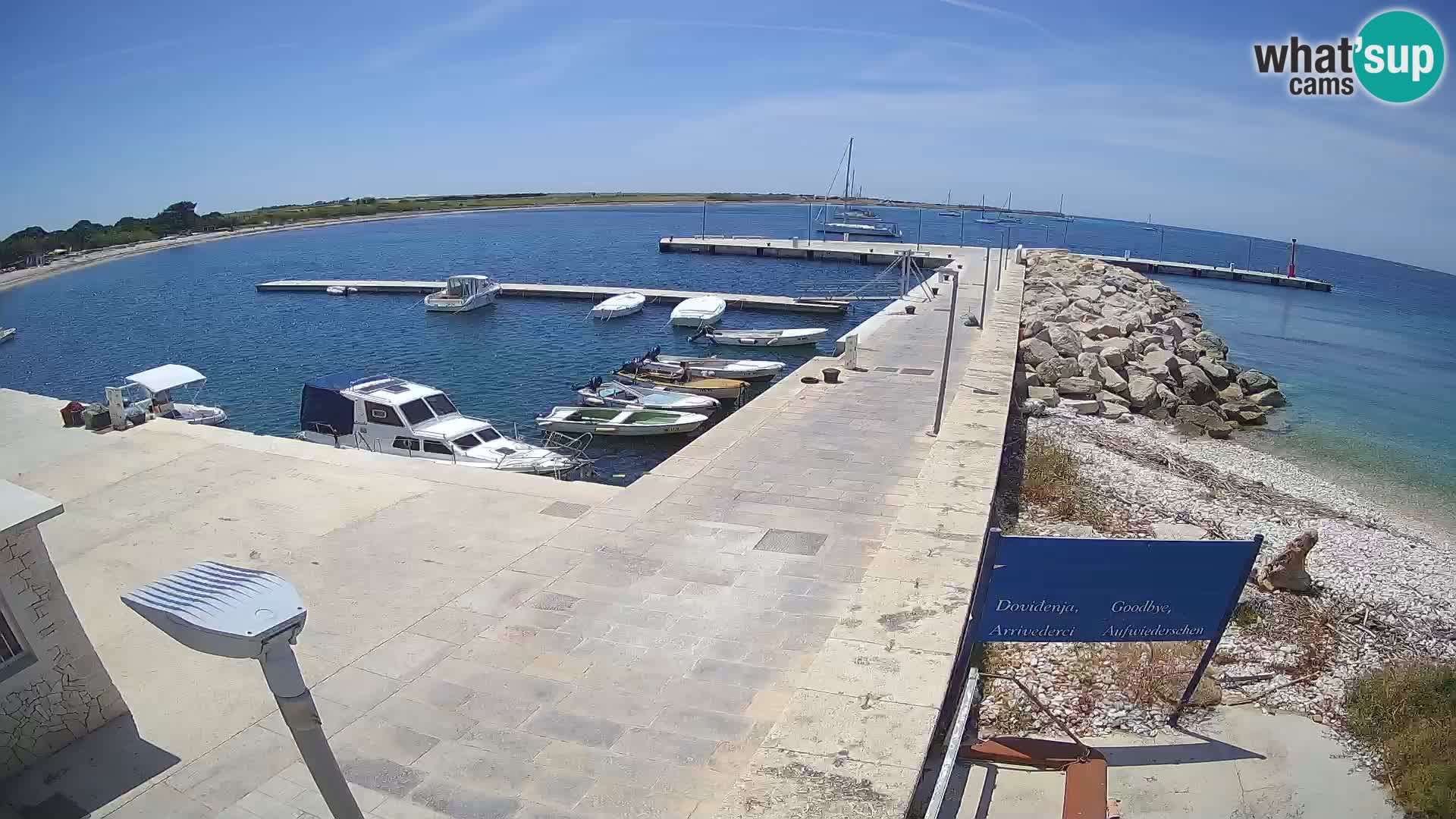 Cámara web de la isla de Unije: explore la belleza de la joya escondida de Croacia