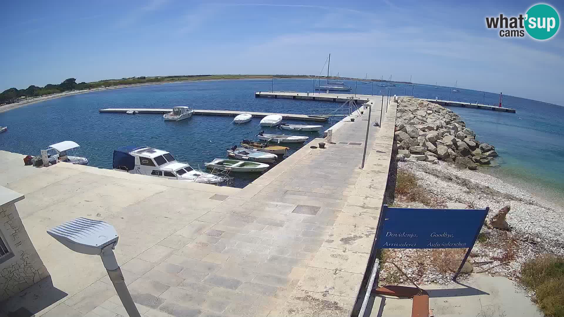 Cámara web de la isla de Unije: explore la belleza de la joya escondida de Croacia