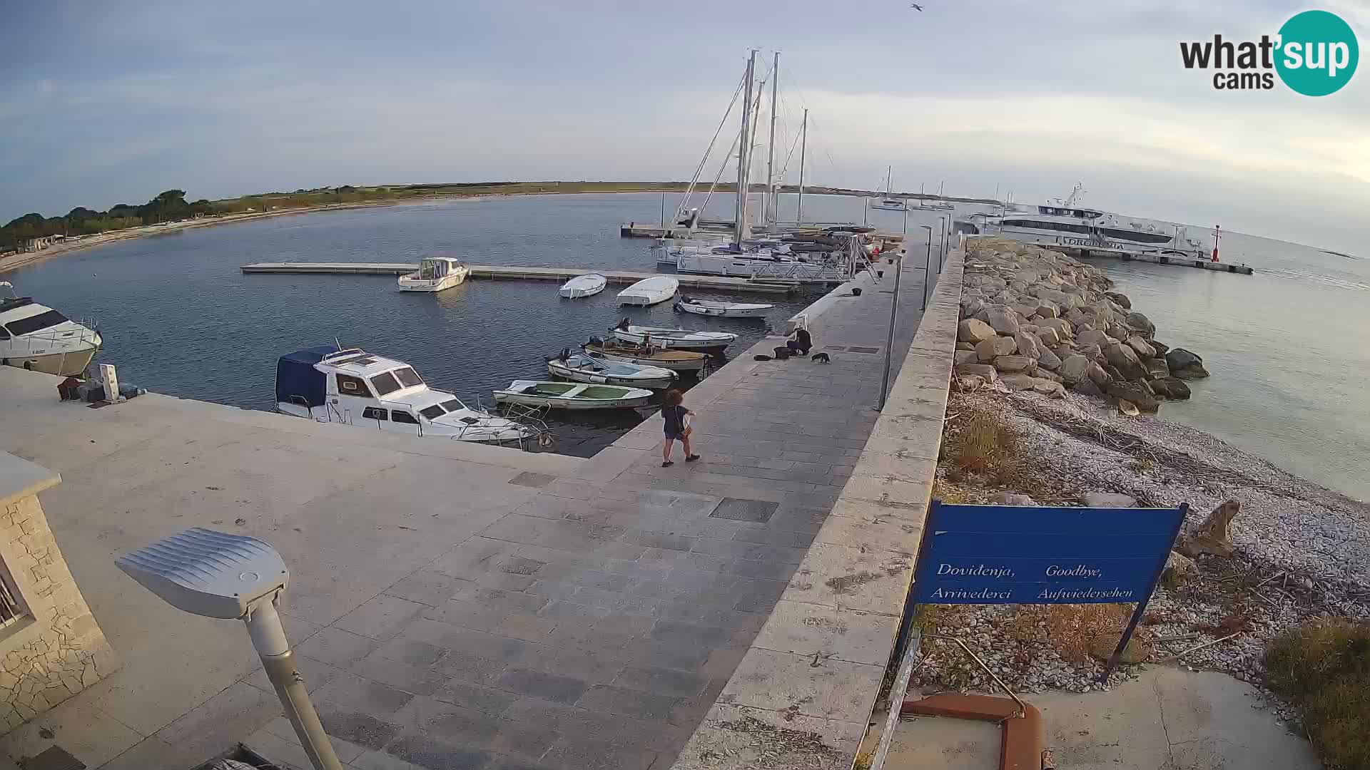 Cámara web de la isla de Unije: explore la belleza de la joya escondida de Croacia