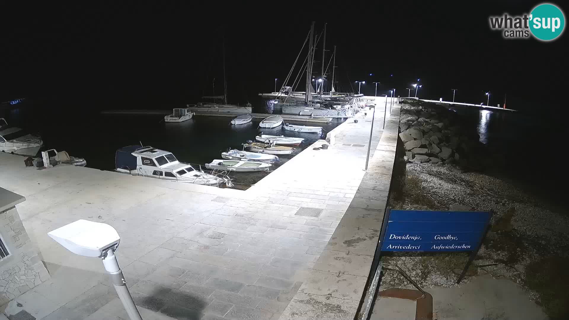 Cámara web de la isla de Unije: explore la belleza de la joya escondida de Croacia