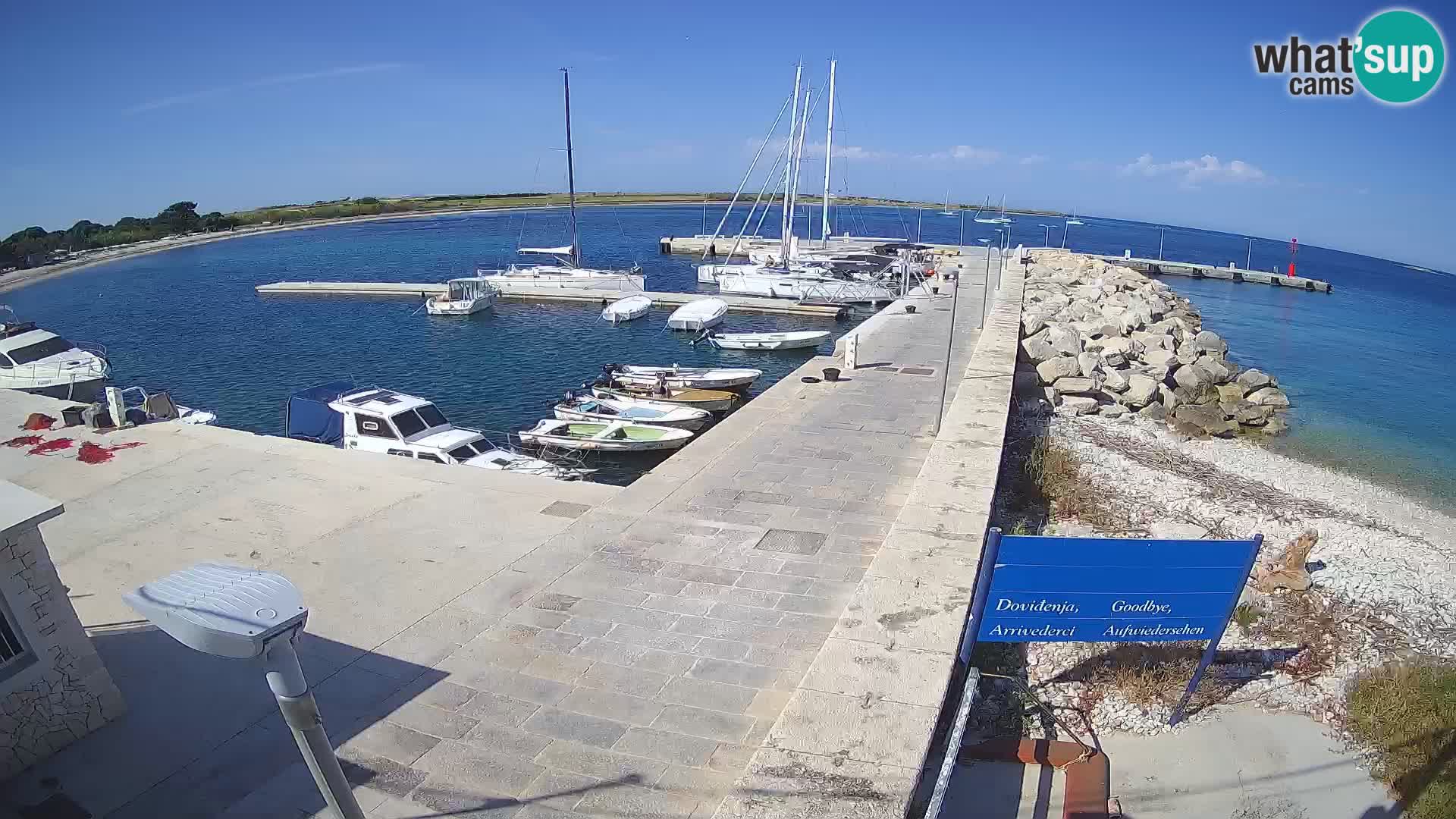 Cámara web de la isla de Unije: explore la belleza de la joya escondida de Croacia