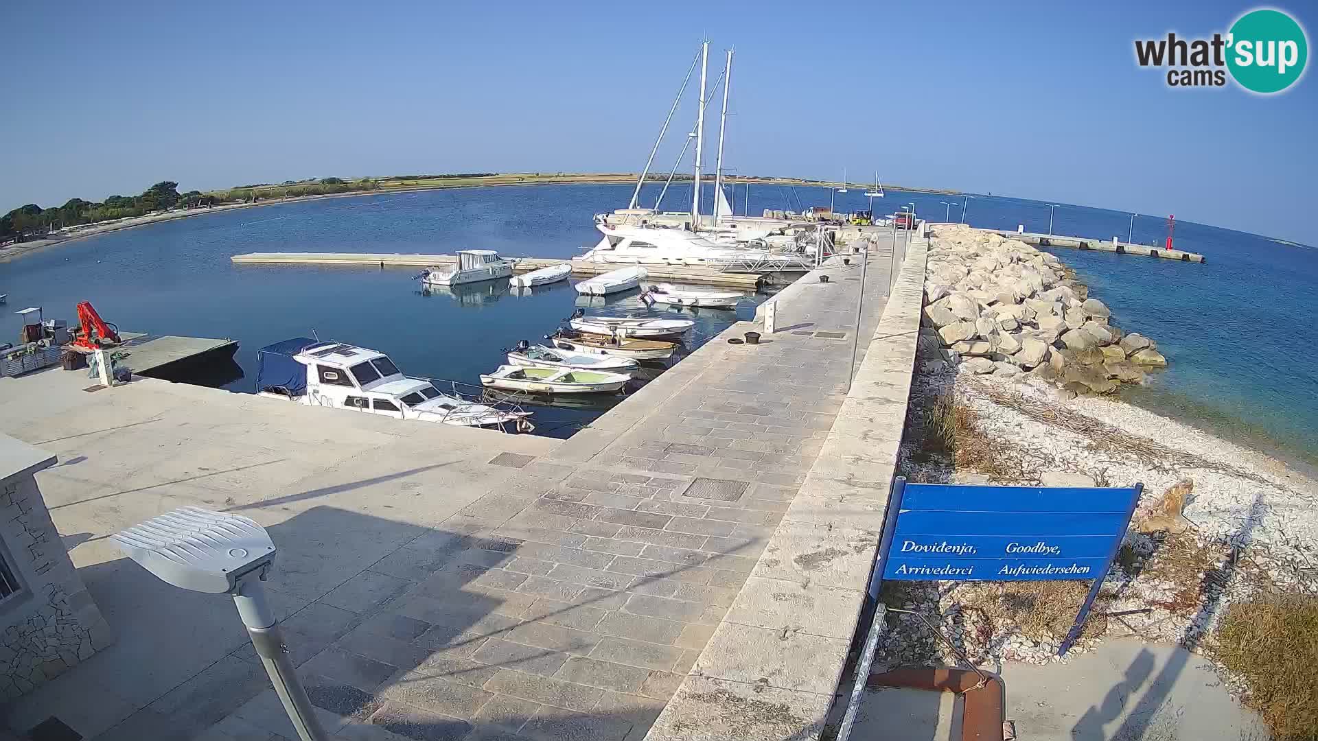 Webcam Isola di Unije – Esplora la bellezza della gemma nascosta della Croazia