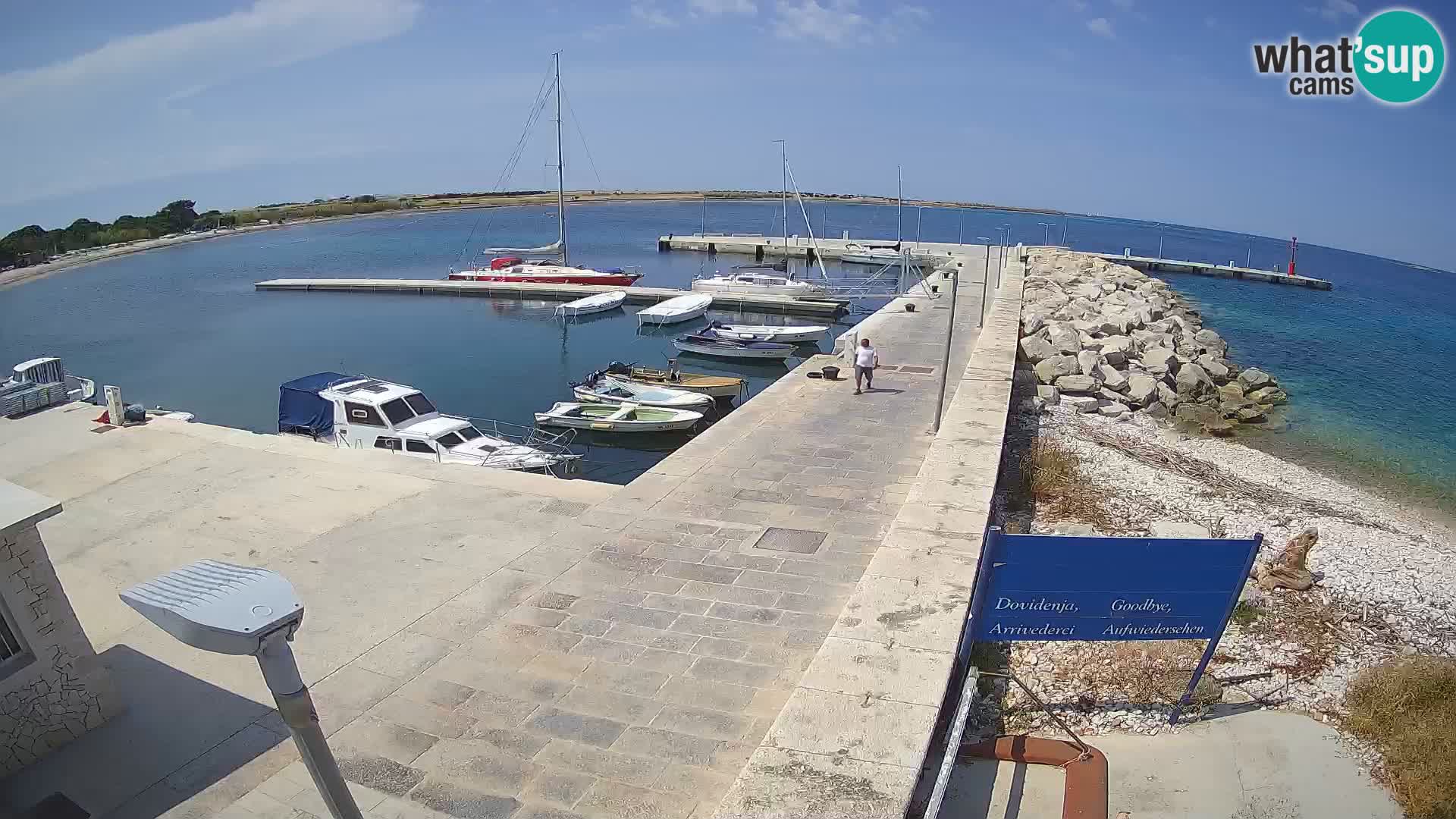Cámara web de la isla de Unije: explore la belleza de la joya escondida de Croacia