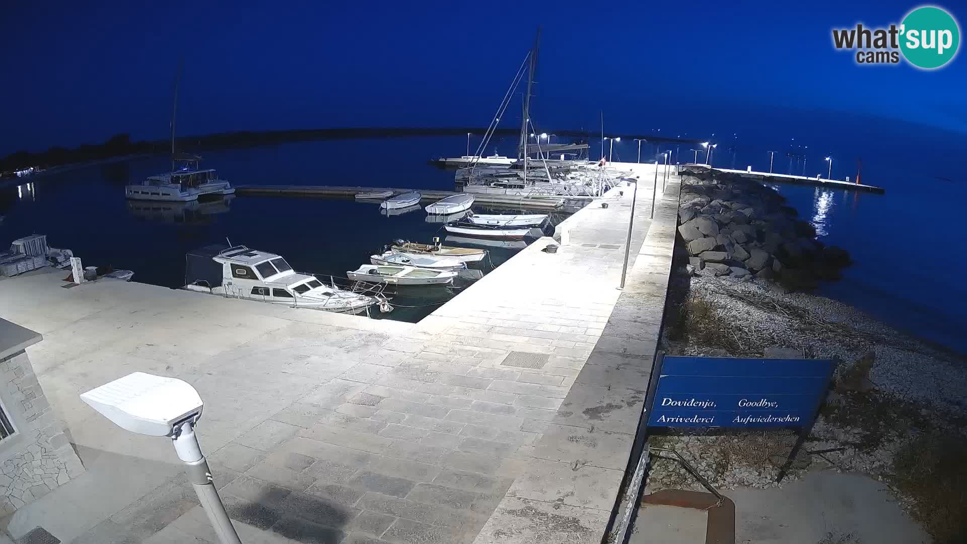 Webcam de l’île d’Unije – Explorez la beauté du joyau caché de la Croatie