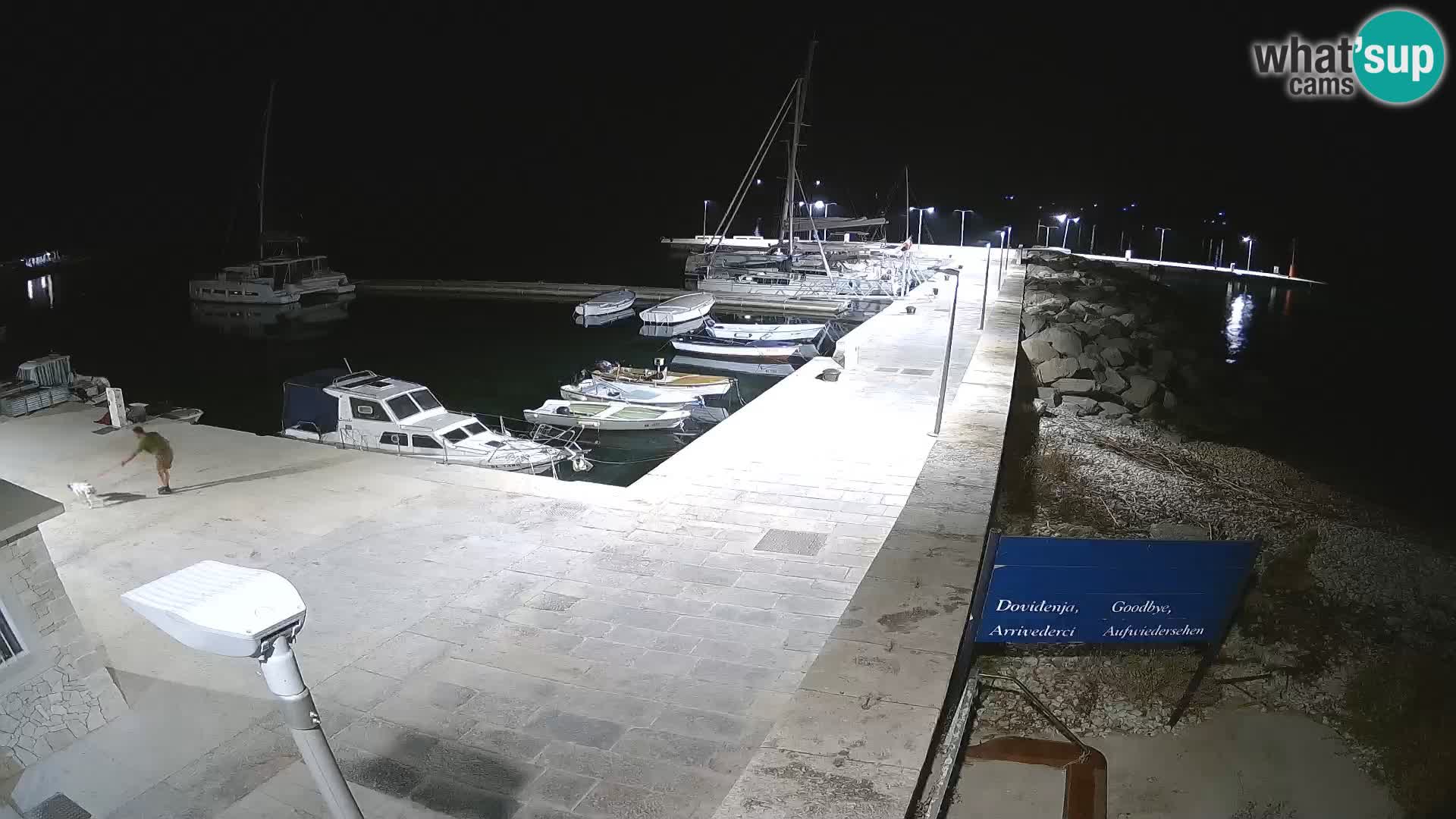 Spletna kamera otoka Unije – Raziščite lepoto skritega dragulja Hrvaške
