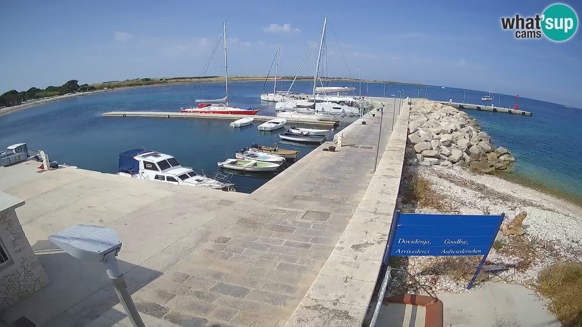Webcam Isola di Unije – Esplora la bellezza della gemma nascosta della Croazia