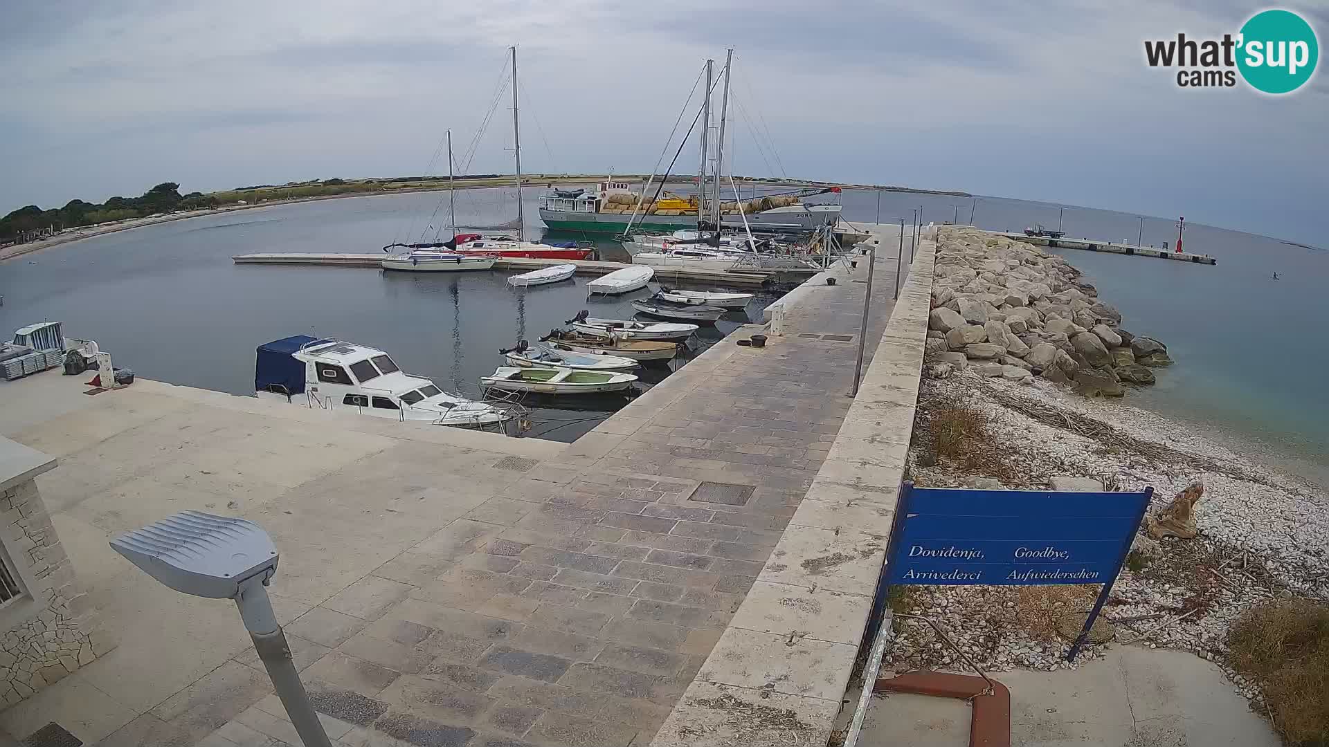 Cámara web de la isla de Unije: explore la belleza de la joya escondida de Croacia