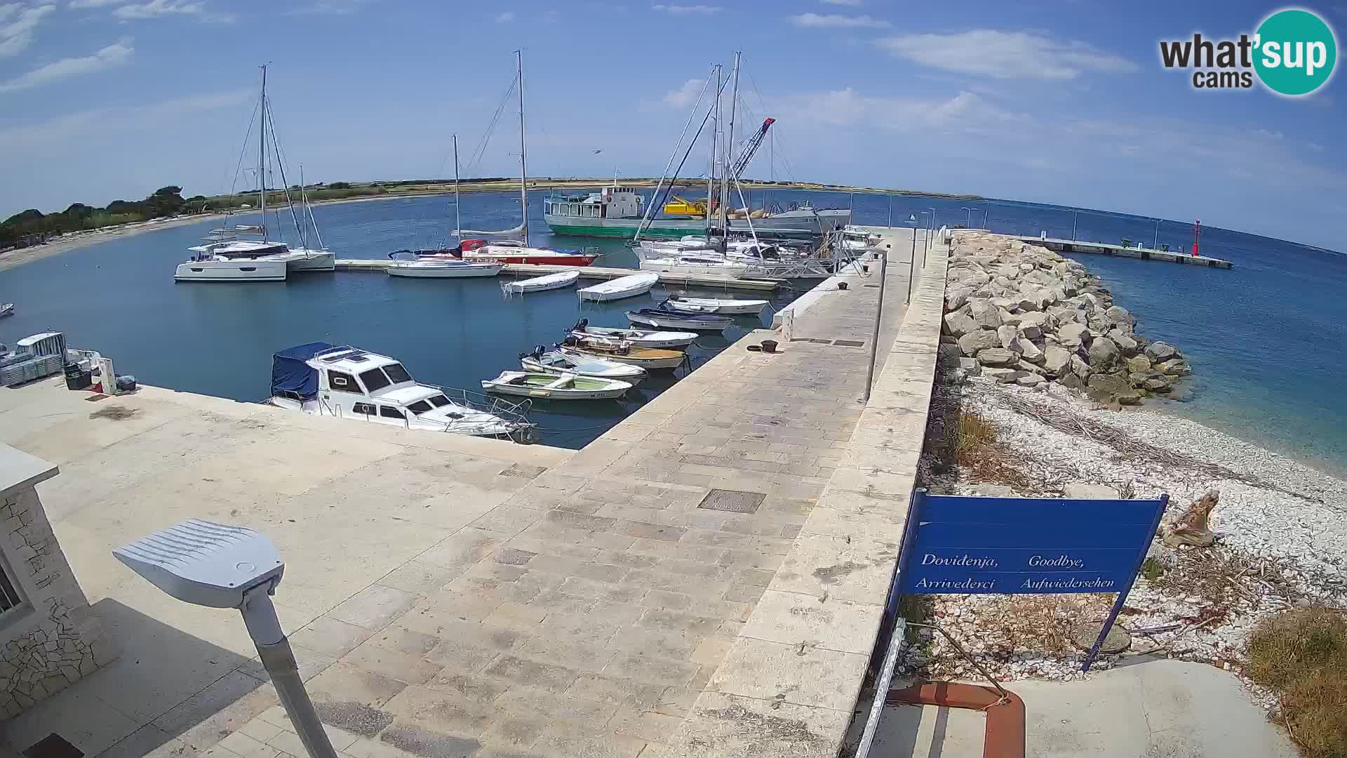 Cámara web de la isla de Unije: explore la belleza de la joya escondida de Croacia