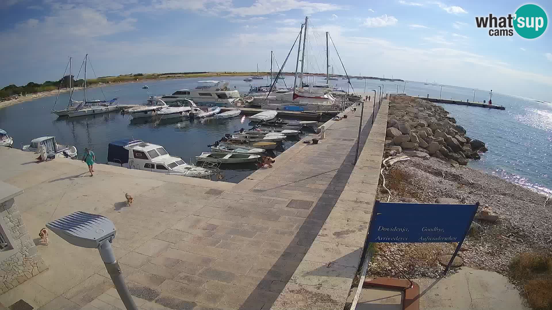 Cámara web de la isla de Unije: explore la belleza de la joya escondida de Croacia