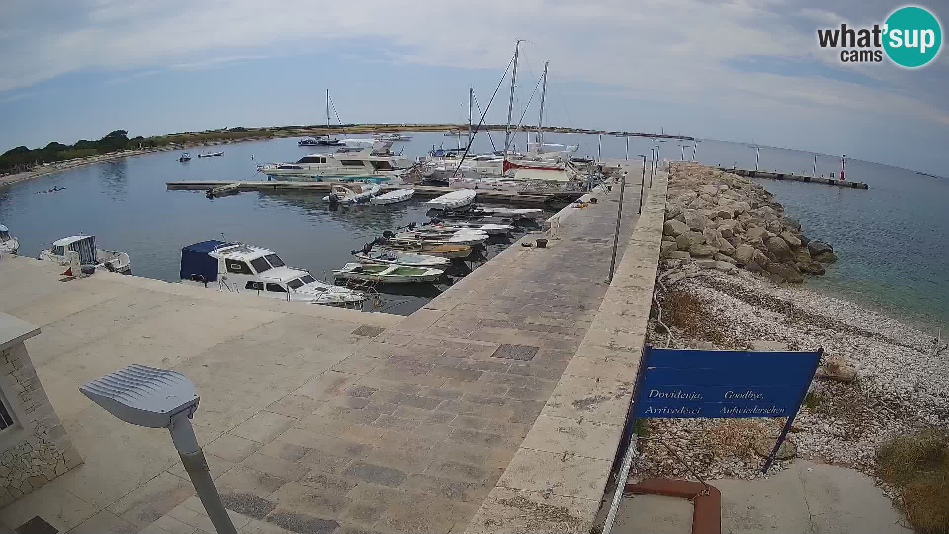 Cámara web de la isla de Unije: explore la belleza de la joya escondida de Croacia