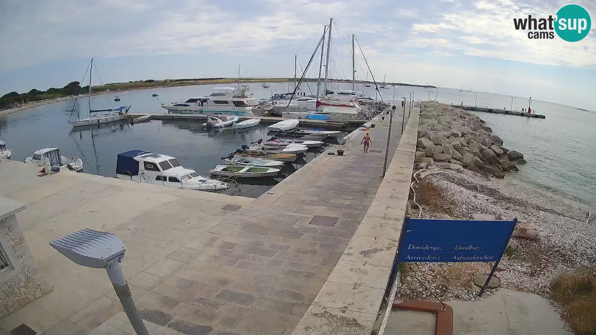 Cámara web de la isla de Unije: explore la belleza de la joya escondida de Croacia