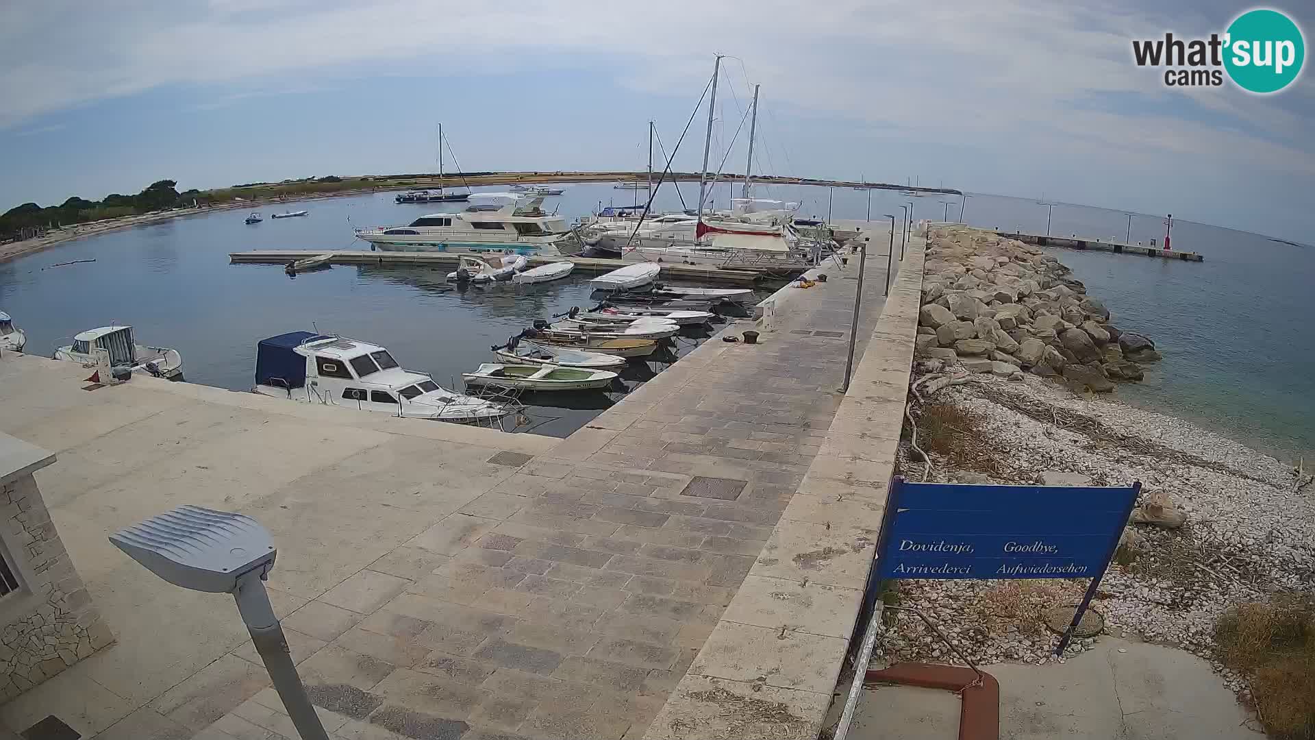 Cámara web de la isla de Unije: explore la belleza de la joya escondida de Croacia