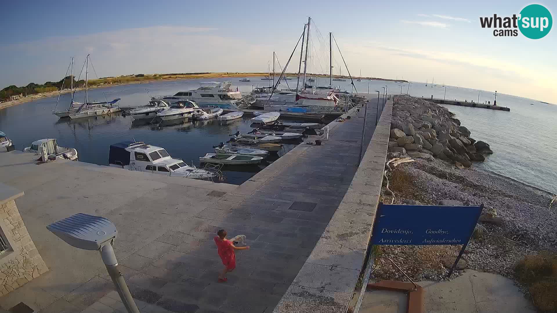 Webcam Isola di Unije – Esplora la bellezza della gemma nascosta della Croazia