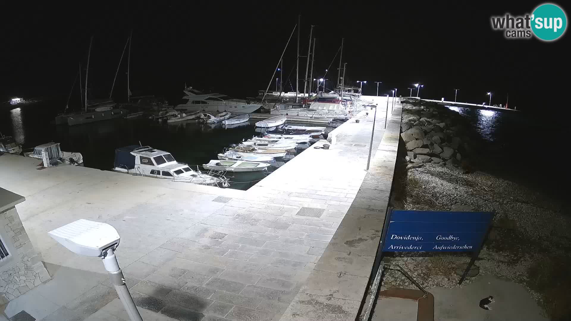 Webcam Isola di Unije – Esplora la bellezza della gemma nascosta della Croazia