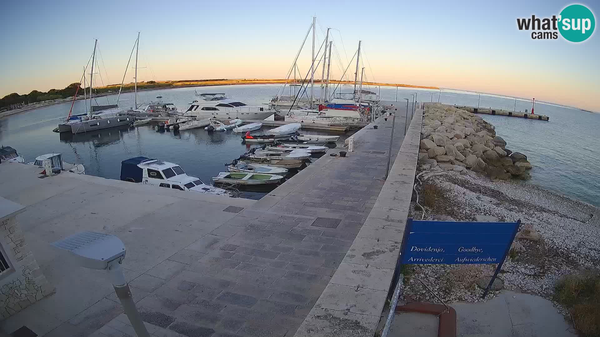Cámara web de la isla de Unije: explore la belleza de la joya escondida de Croacia