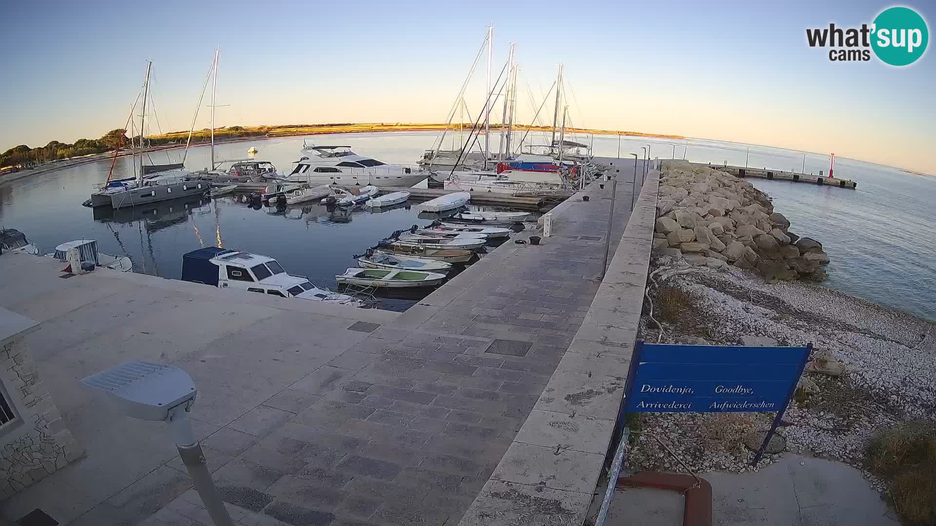Webcam de l’île d’Unije – Explorez la beauté du joyau caché de la Croatie