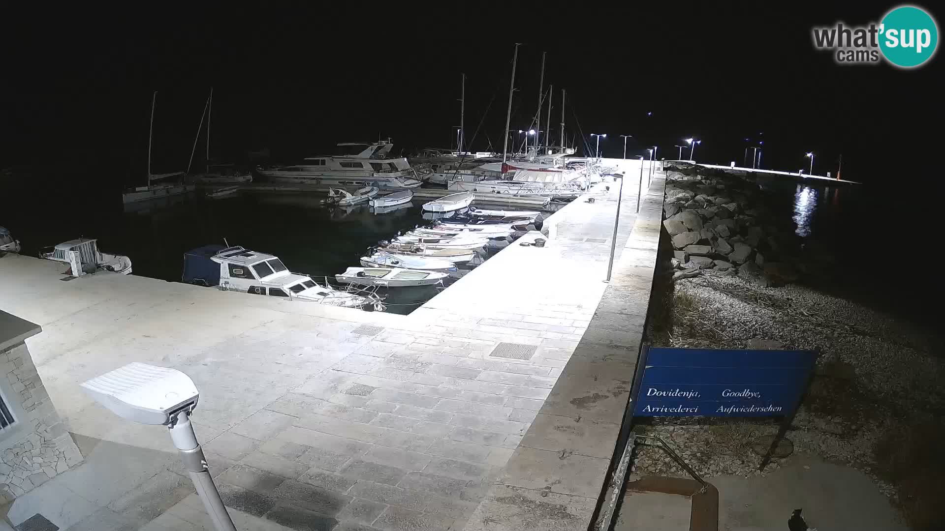 Cámara web de la isla de Unije: explore la belleza de la joya escondida de Croacia