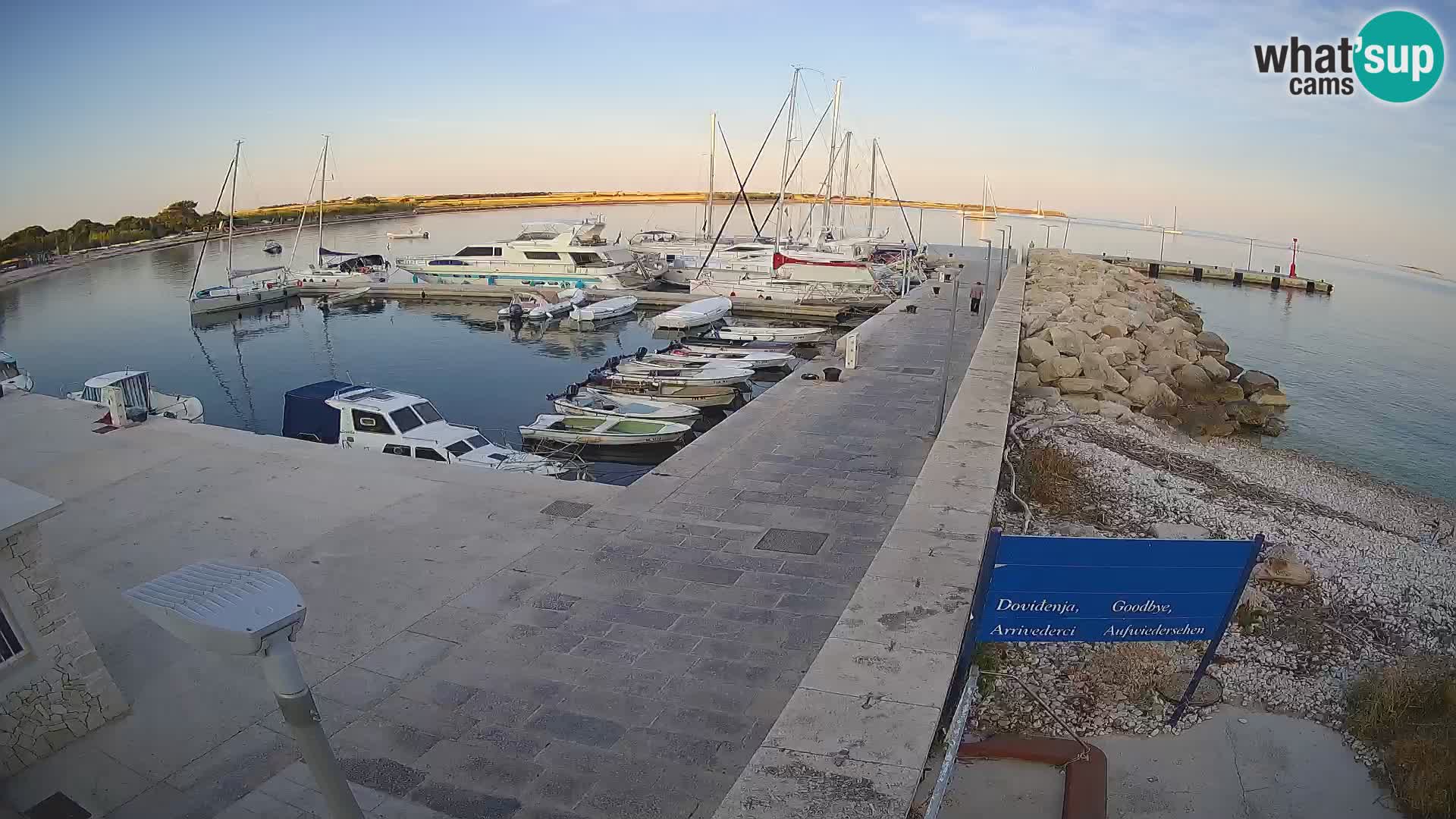 Webcam Isola di Unije – Esplora la bellezza della gemma nascosta della Croazia