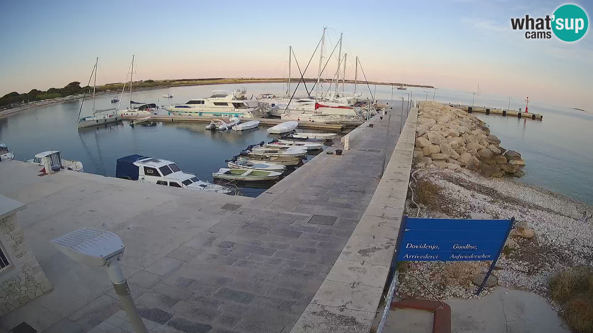 Cámara web de la isla de Unije: explore la belleza de la joya escondida de Croacia