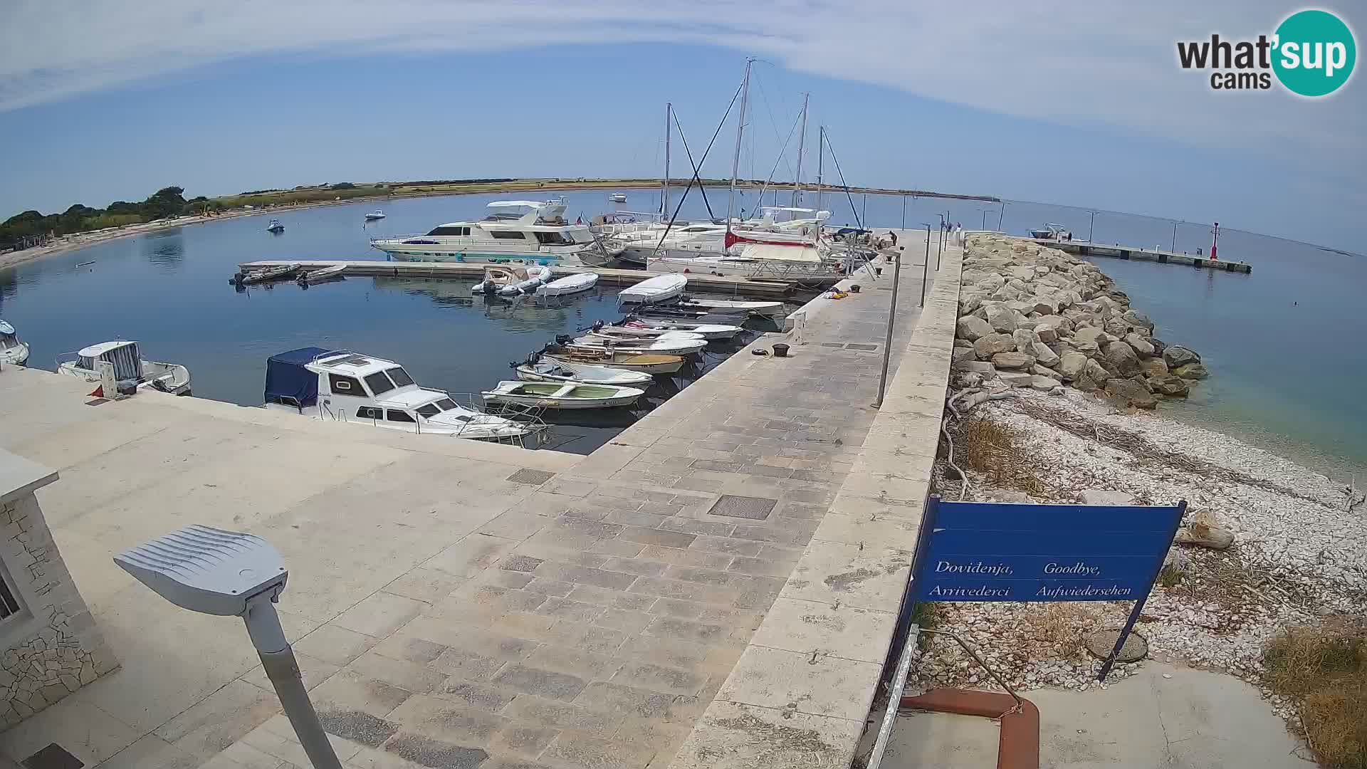 Cámara web de la isla de Unije: explore la belleza de la joya escondida de Croacia