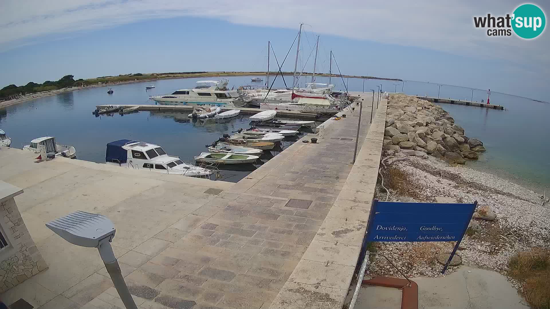 Webcam de l’île d’Unije – Explorez la beauté du joyau caché de la Croatie