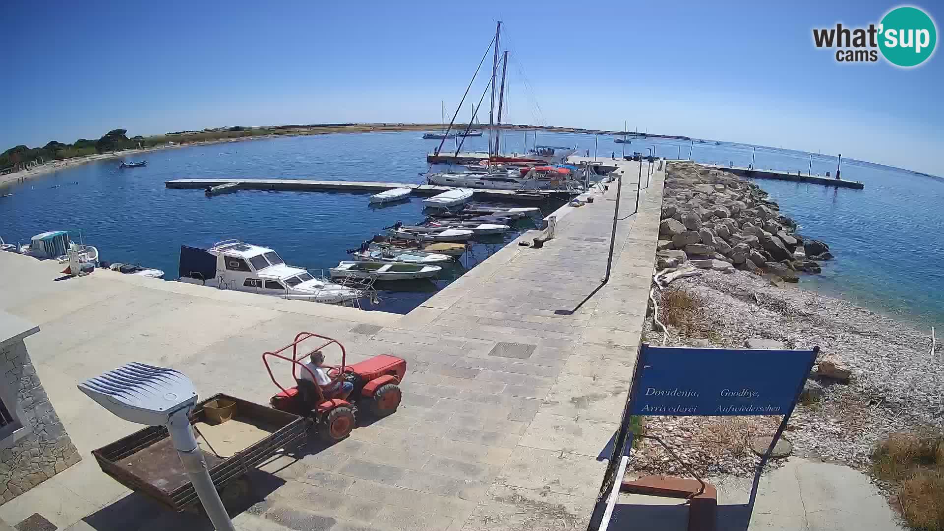 Unije Island Webcam – Explore the Beauty of Croatia’s Hidden Gem
