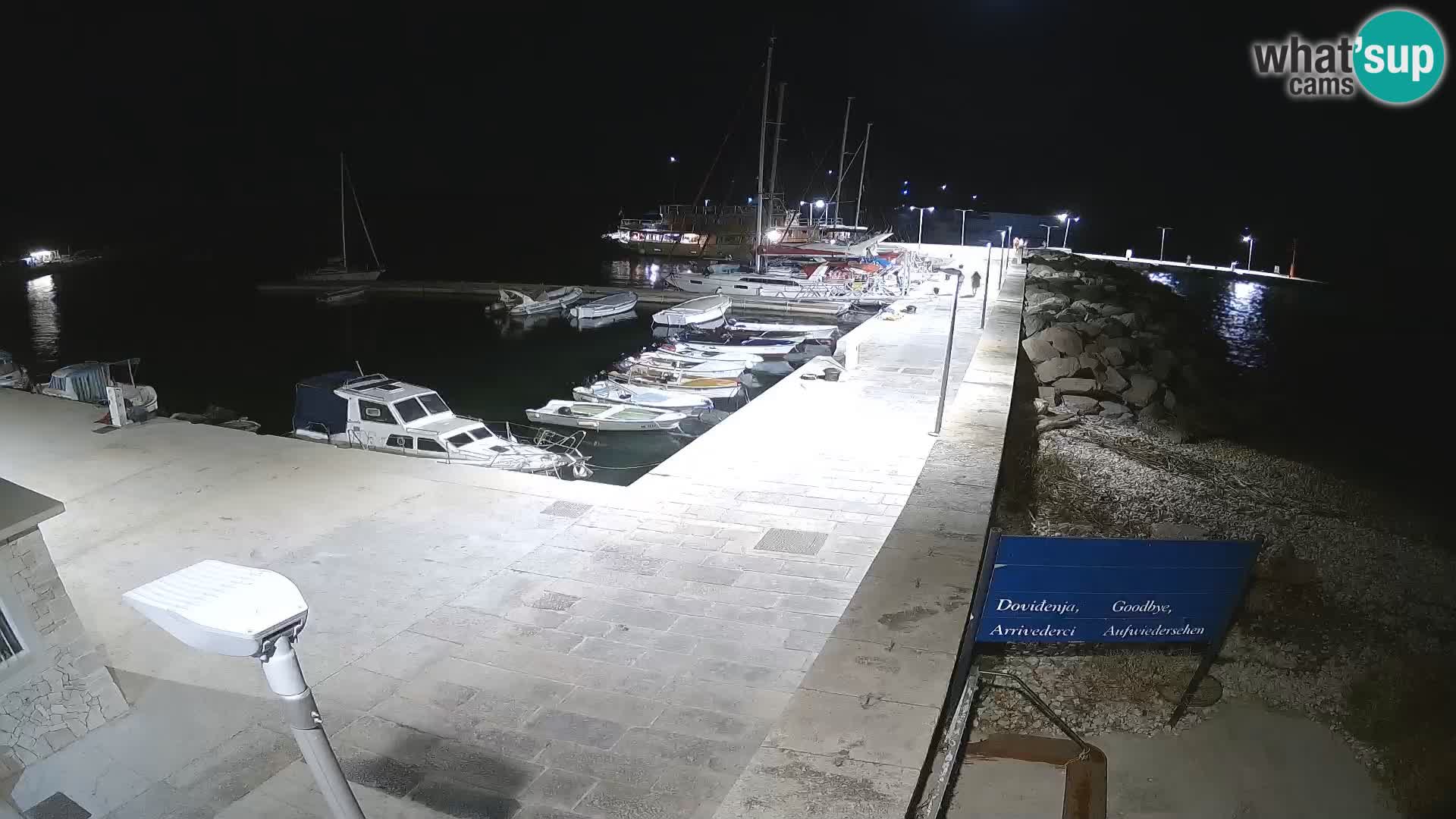 Cámara web de la isla de Unije: explore la belleza de la joya escondida de Croacia