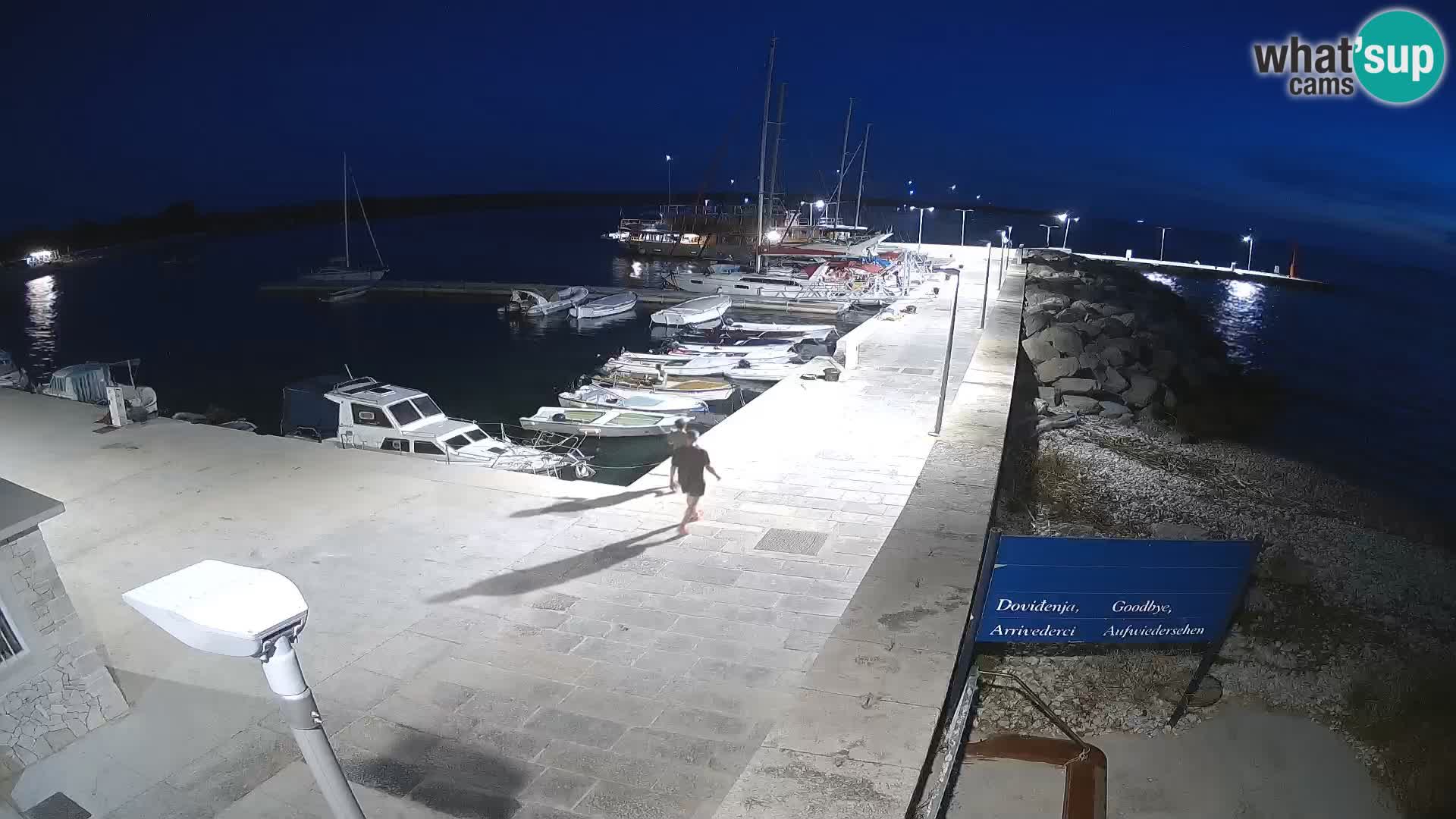 Webcam Isola di Unije – Esplora la bellezza della gemma nascosta della Croazia