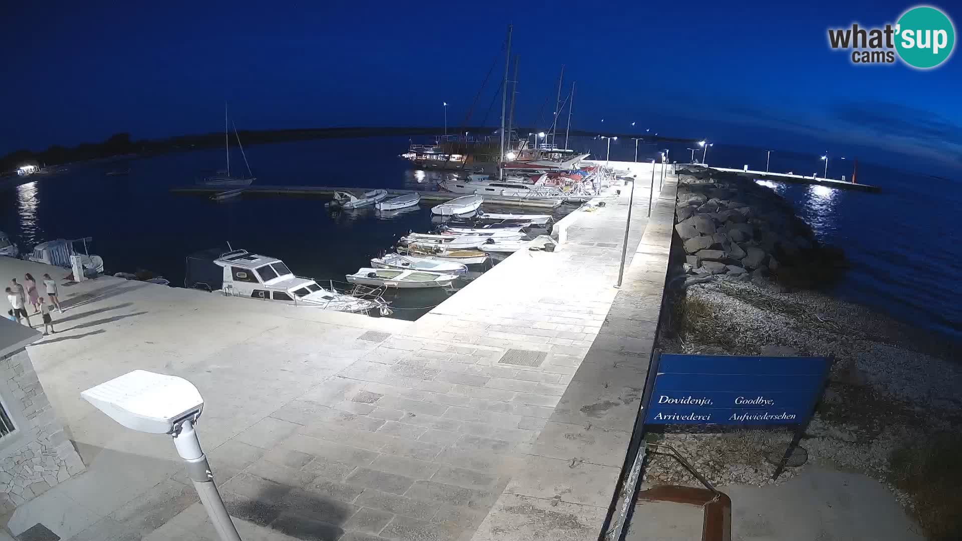 Cámara web de la isla de Unije: explore la belleza de la joya escondida de Croacia