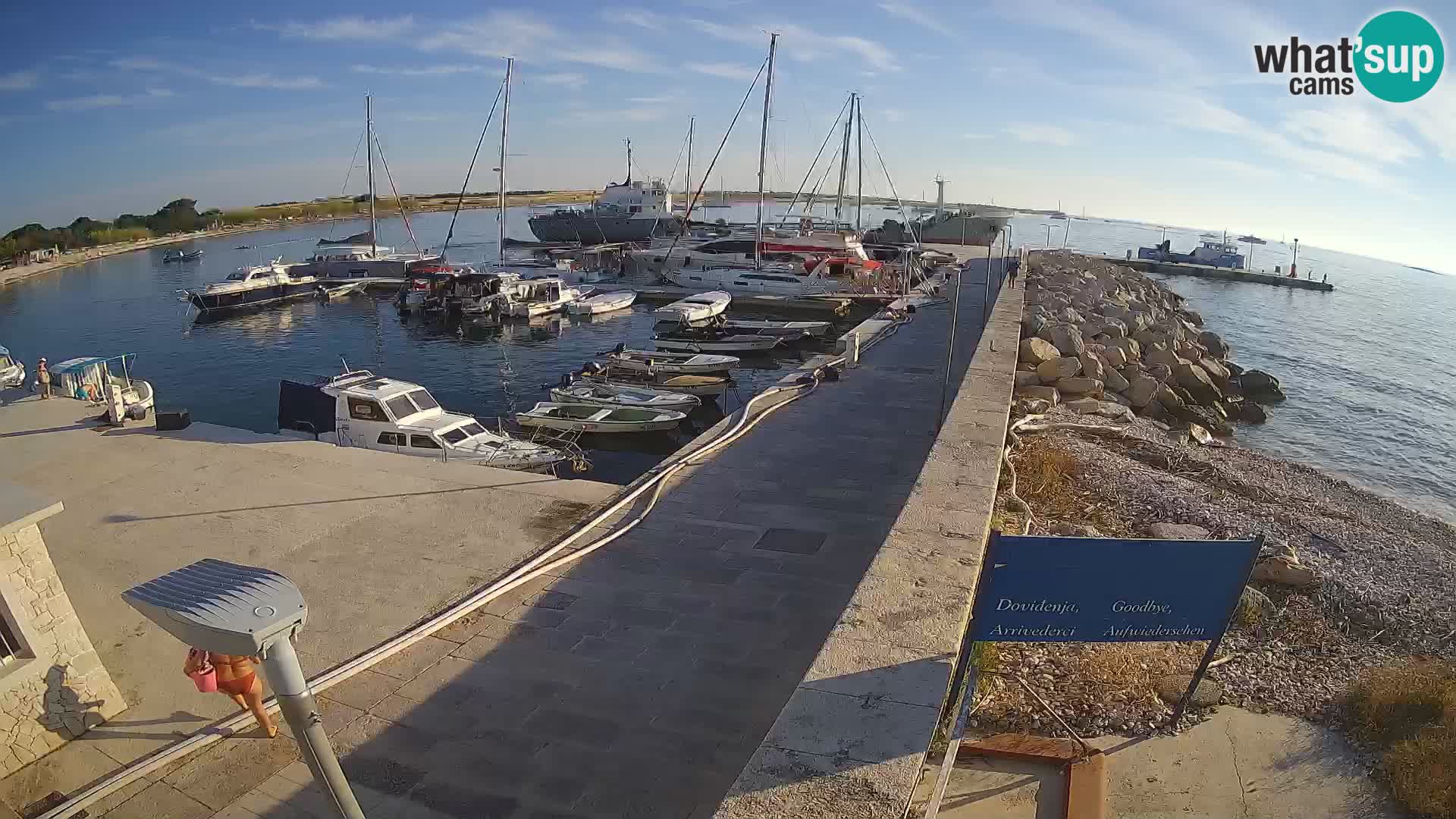 Webcam Isola di Unije – Esplora la bellezza della gemma nascosta della Croazia