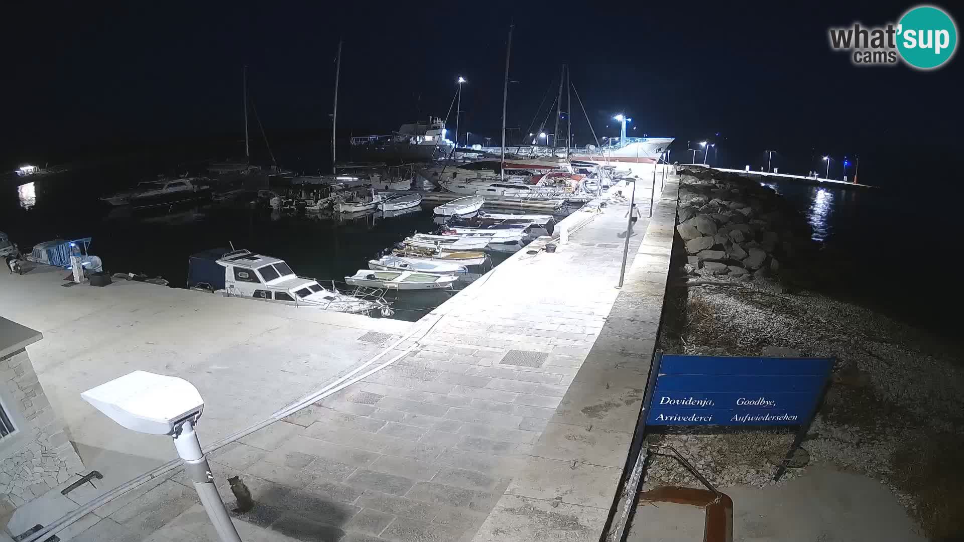Webcam Isola di Unije – Esplora la bellezza della gemma nascosta della Croazia