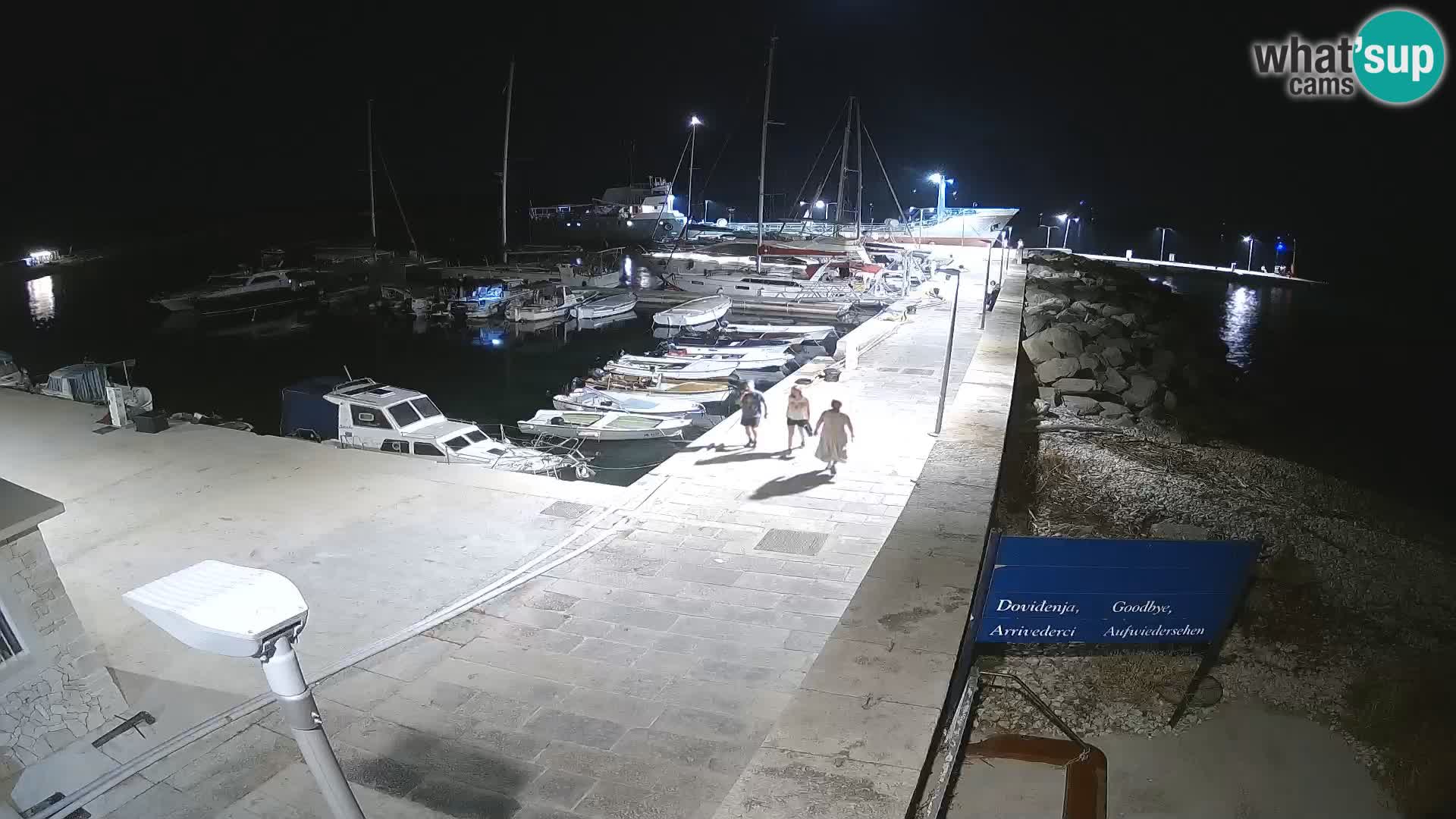 Cámara web de la isla de Unije: explore la belleza de la joya escondida de Croacia