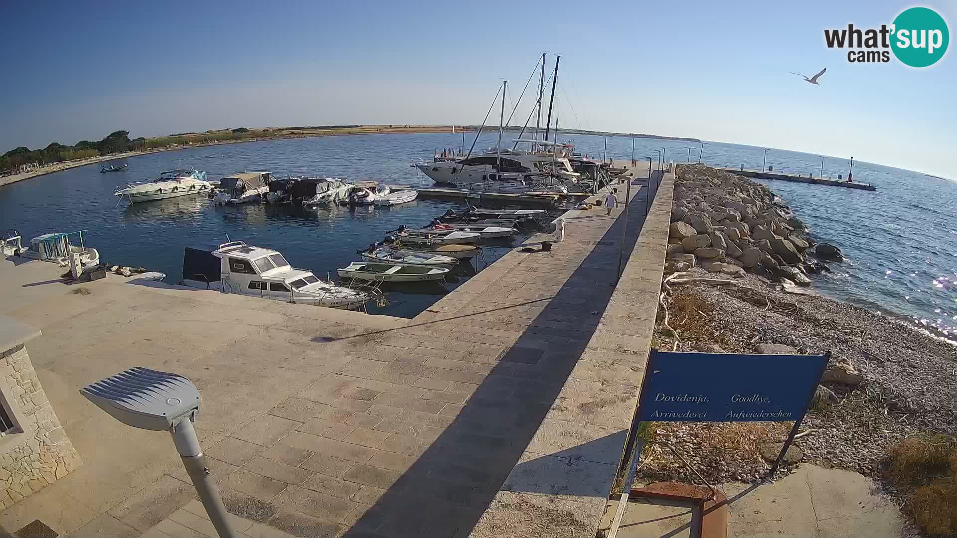Cámara web de la isla de Unije: explore la belleza de la joya escondida de Croacia