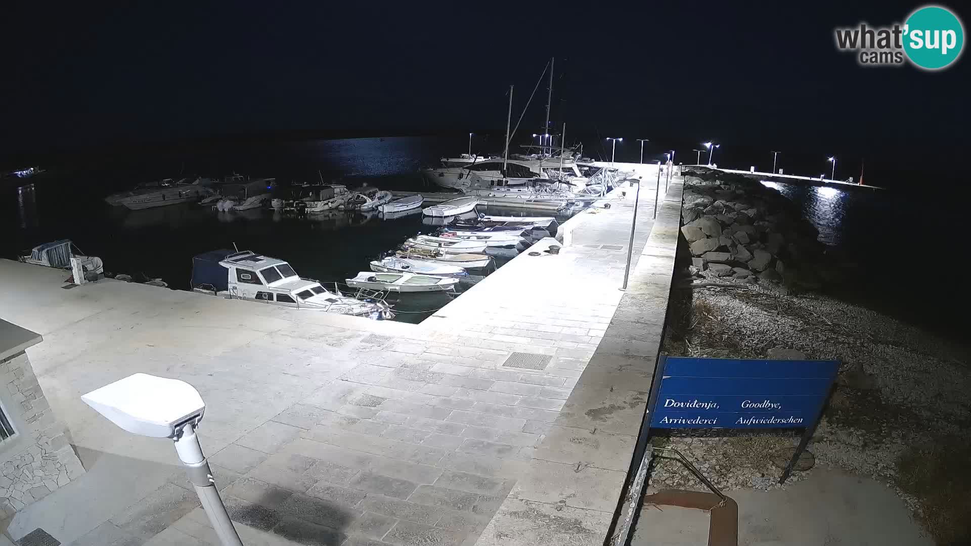 Webcam de l’île d’Unije – Explorez la beauté du joyau caché de la Croatie
