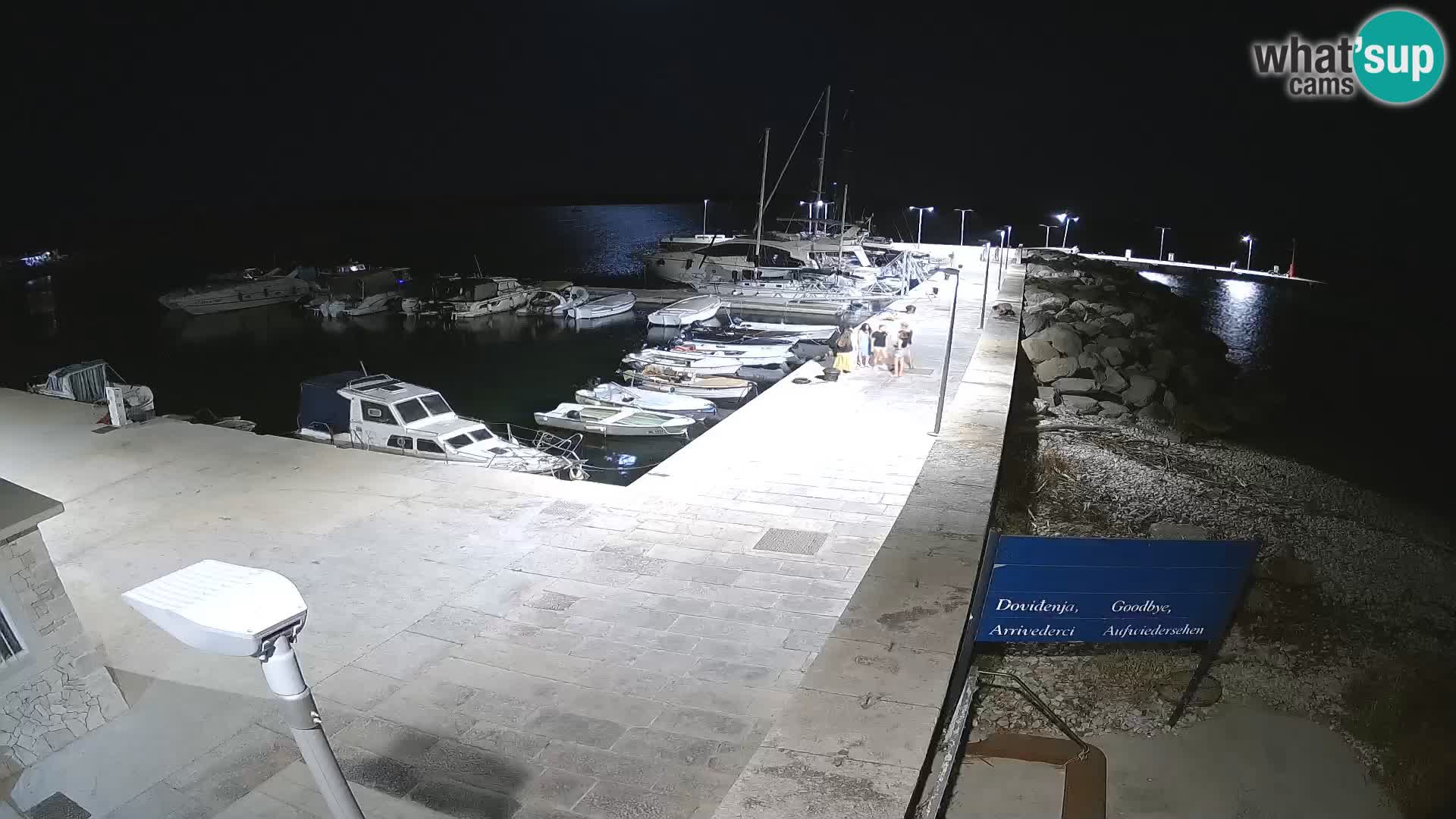 Webcam de l’île d’Unije – Explorez la beauté du joyau caché de la Croatie