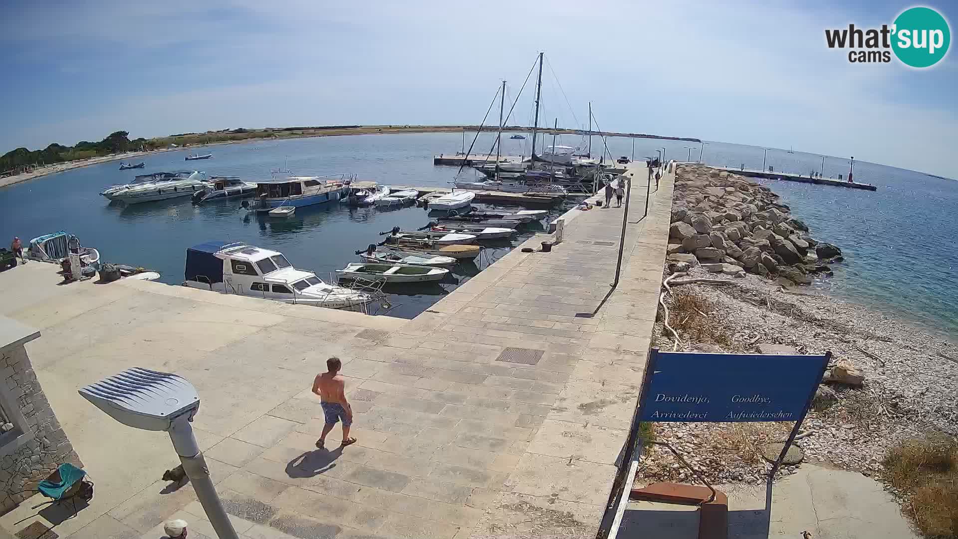 Cámara web de la isla de Unije: explore la belleza de la joya escondida de Croacia