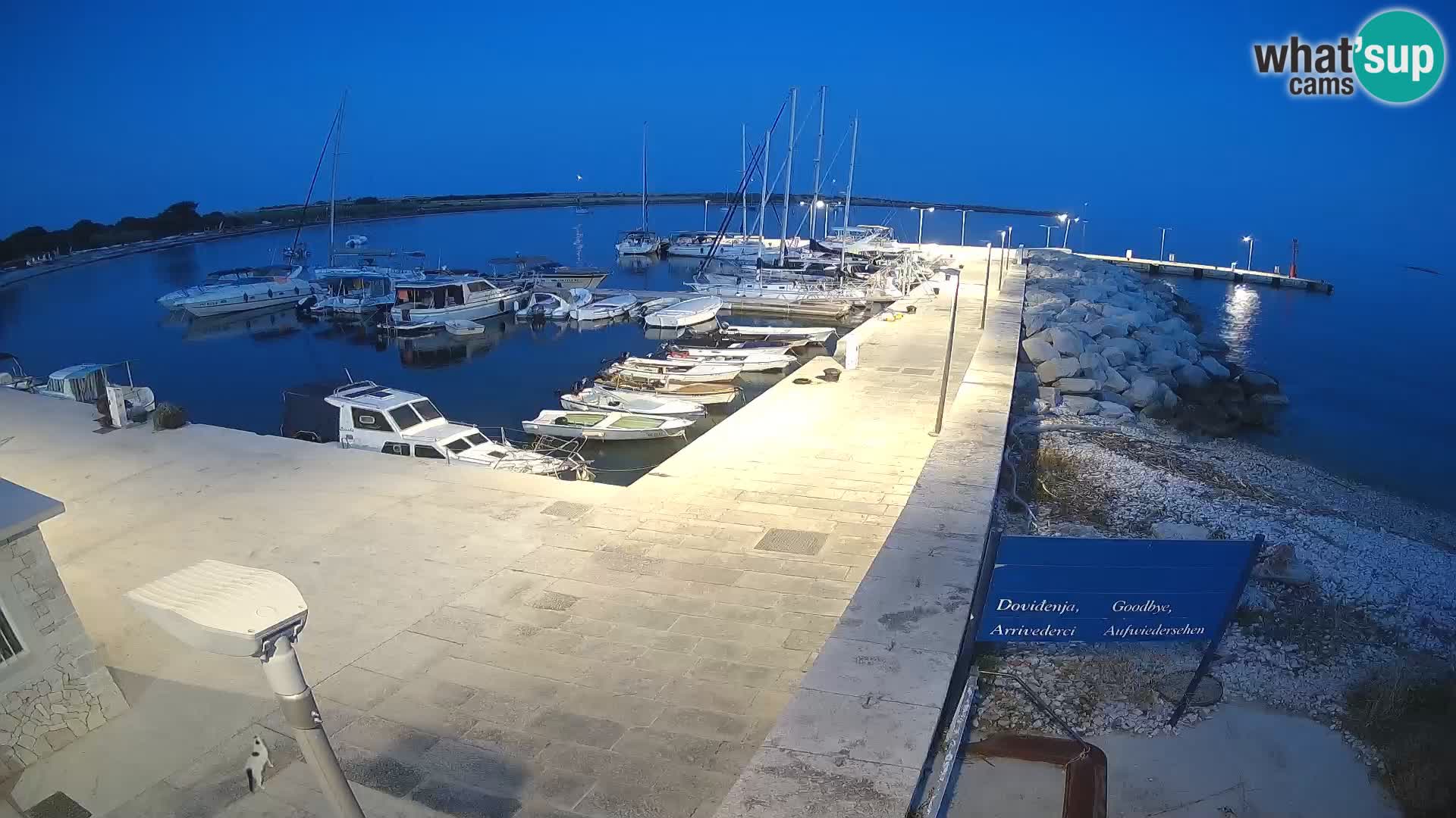 Webcam de l’île d’Unije – Explorez la beauté du joyau caché de la Croatie