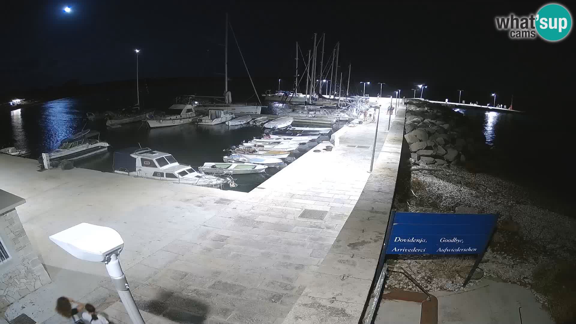 Cámara web de la isla de Unije: explore la belleza de la joya escondida de Croacia