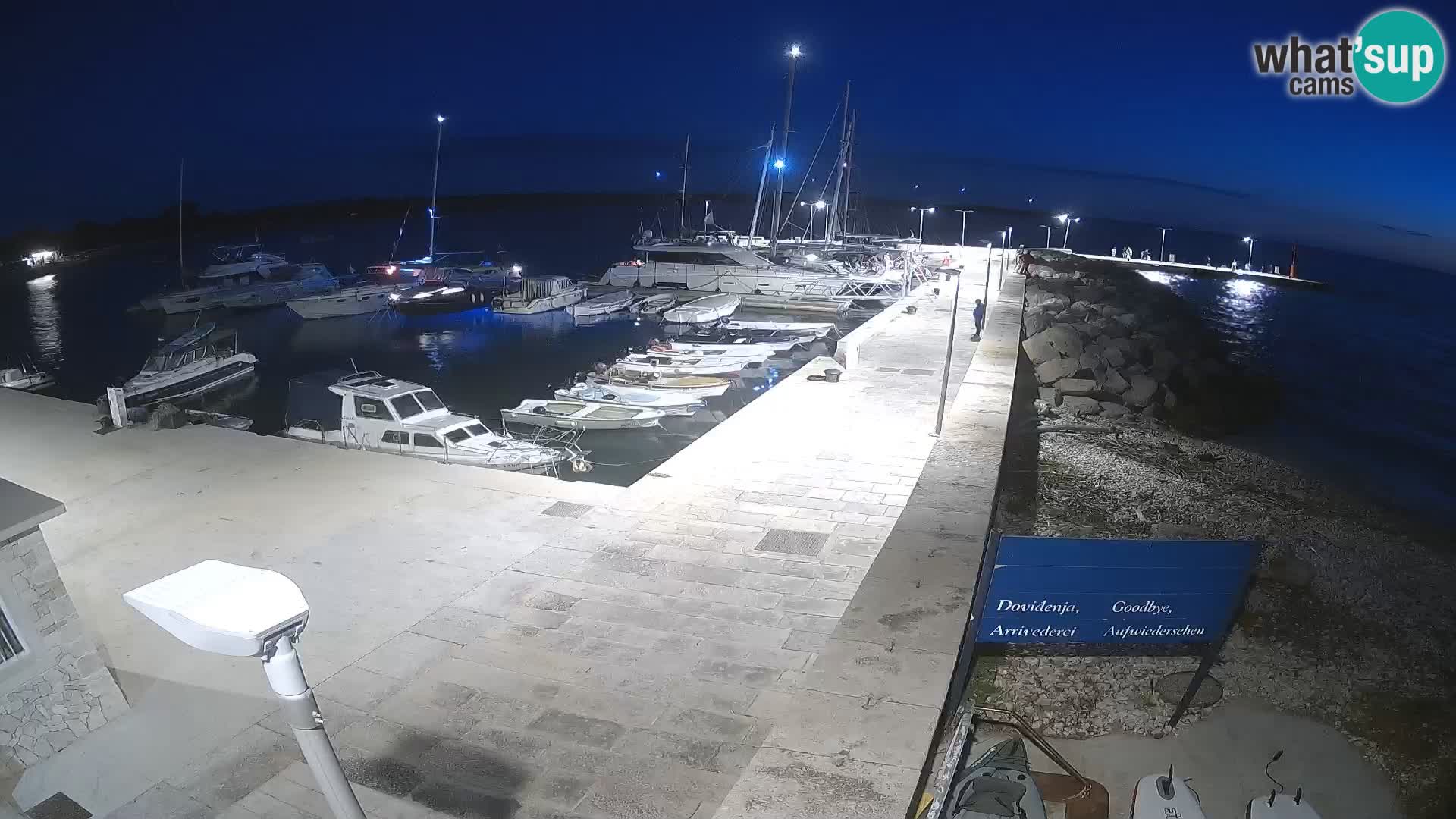 Cámara web de la isla de Unije: explore la belleza de la joya escondida de Croacia