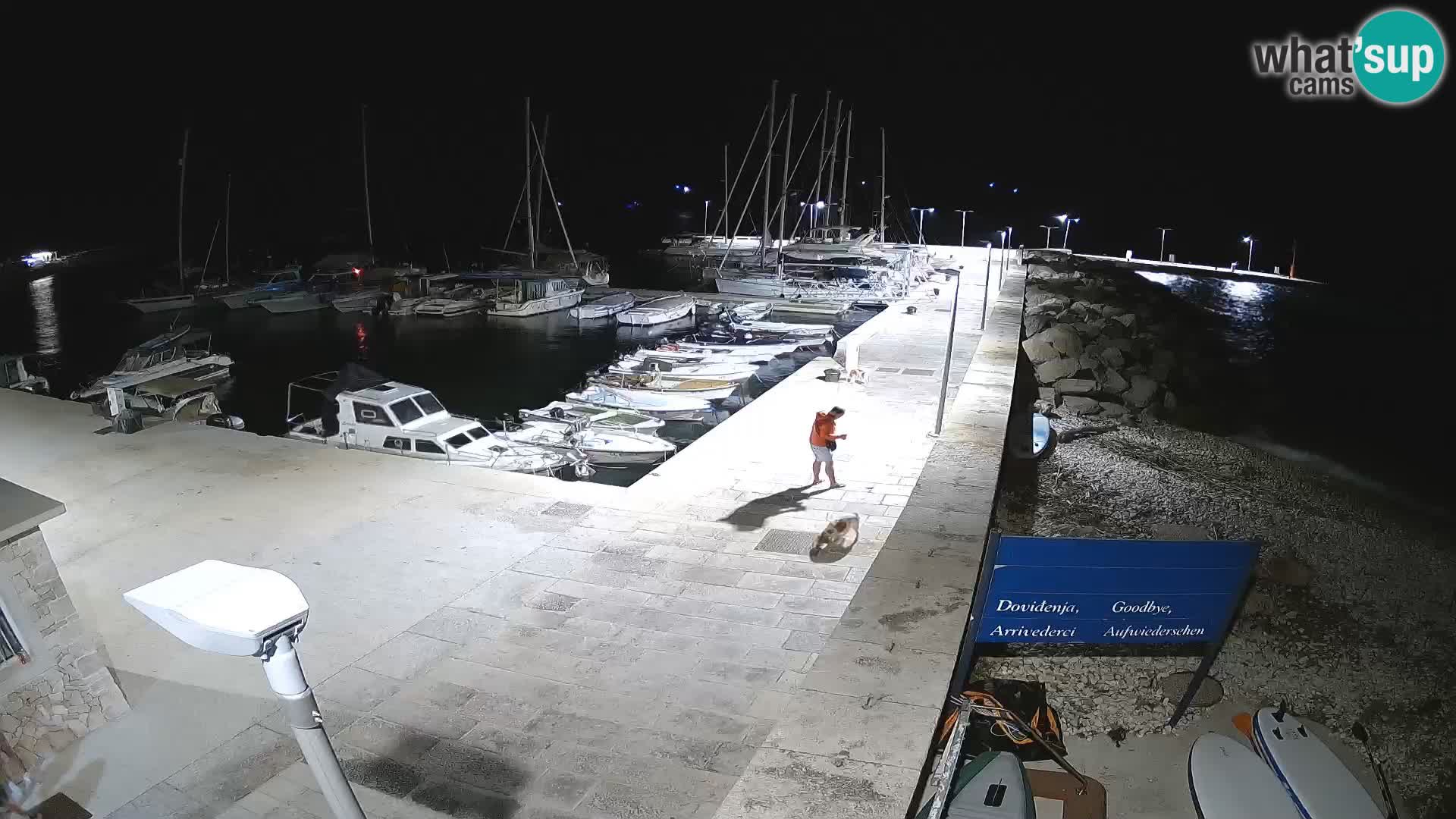 Unije Island Webcam – Explore the Beauty of Croatia’s Hidden Gem