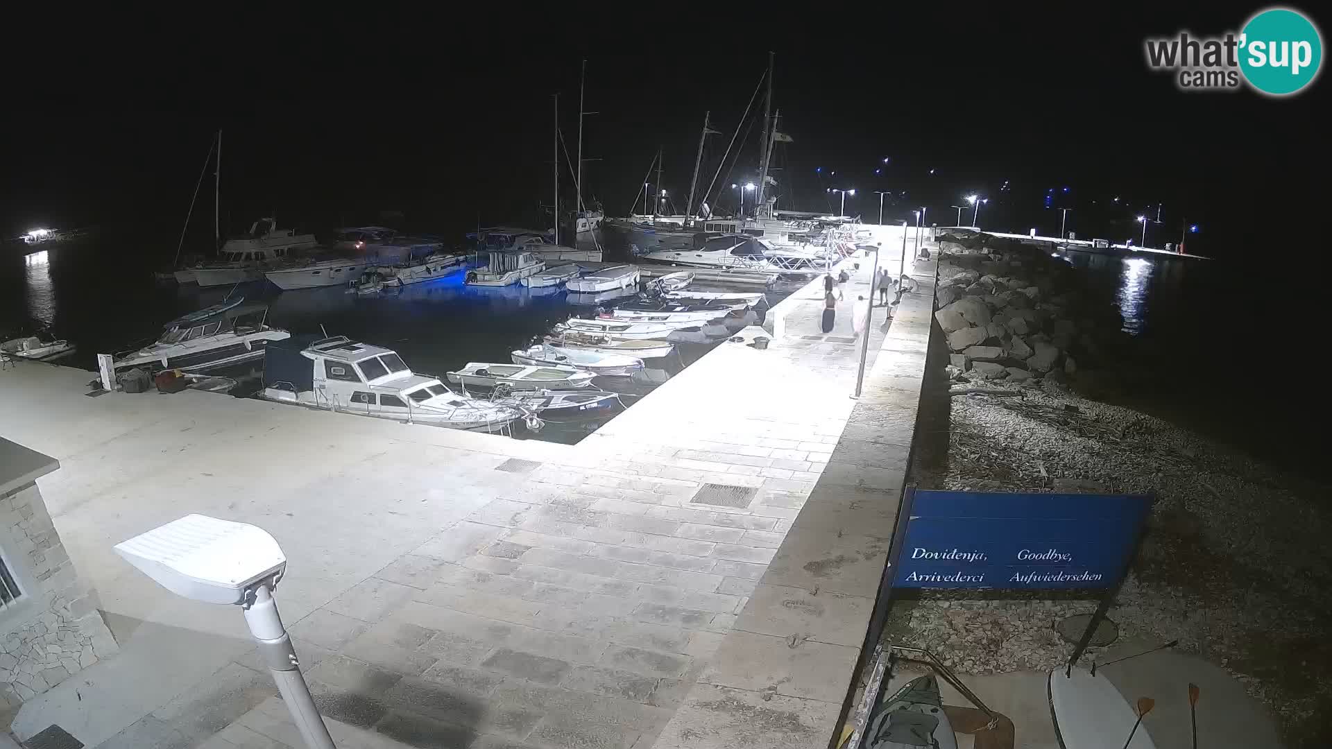 Cámara web de la isla de Unije: explore la belleza de la joya escondida de Croacia